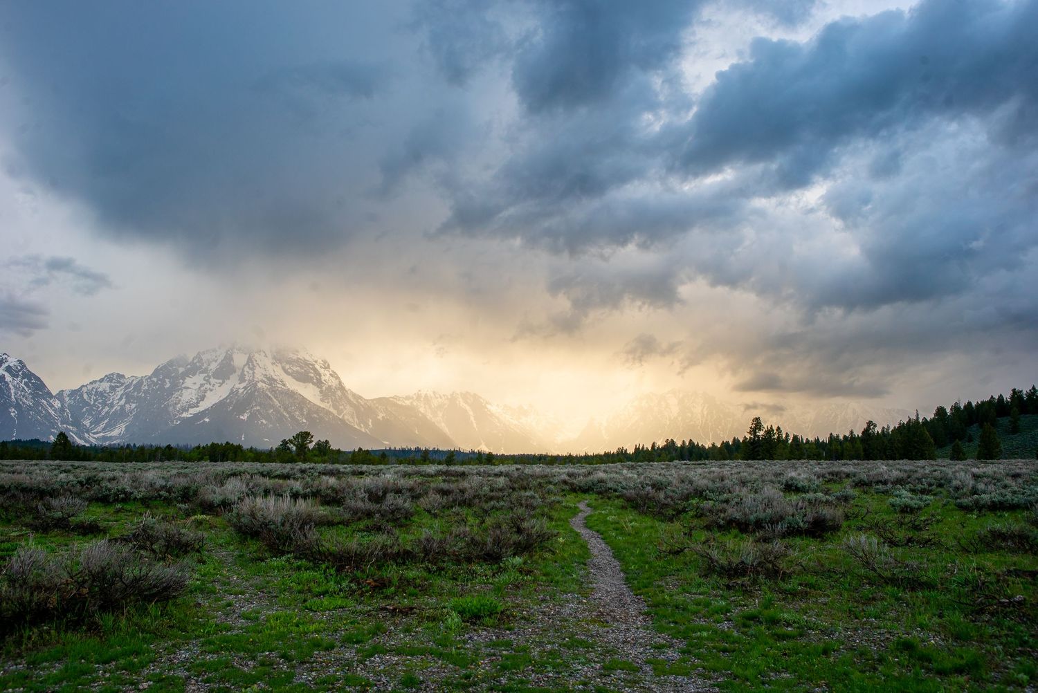 Grand Teton National Park
Fine Art Photography Print Sold by Sean Magner