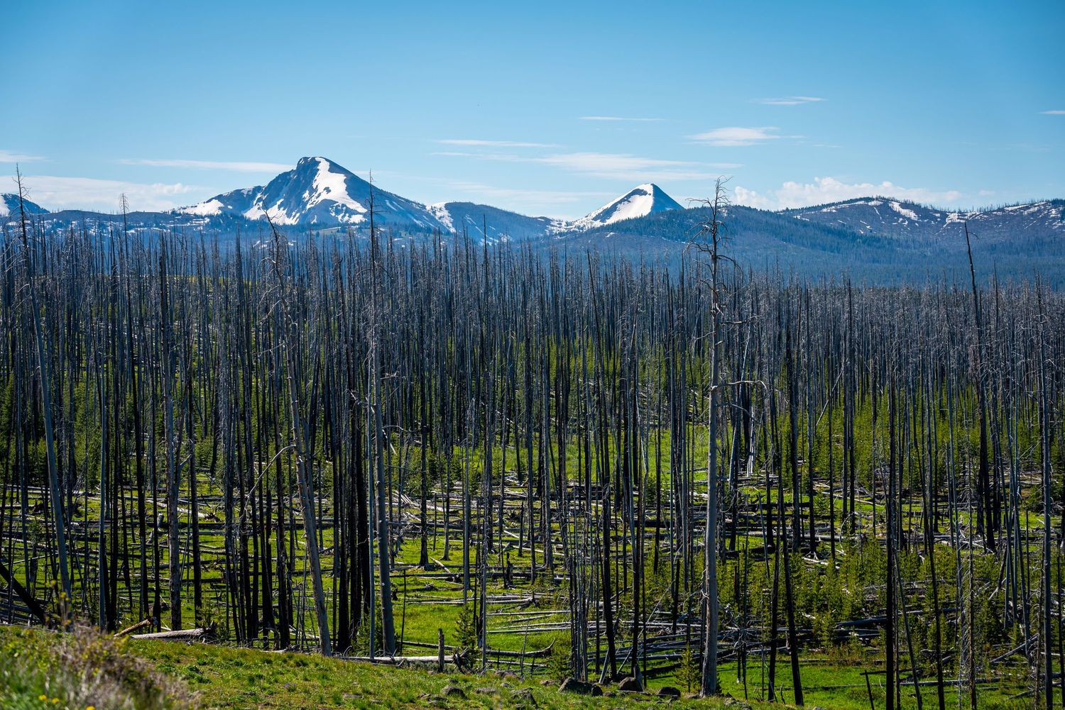 Yellowstone National Park - Lake Butte Overlook
Fine Art Photography Print Sold by Sean Magner