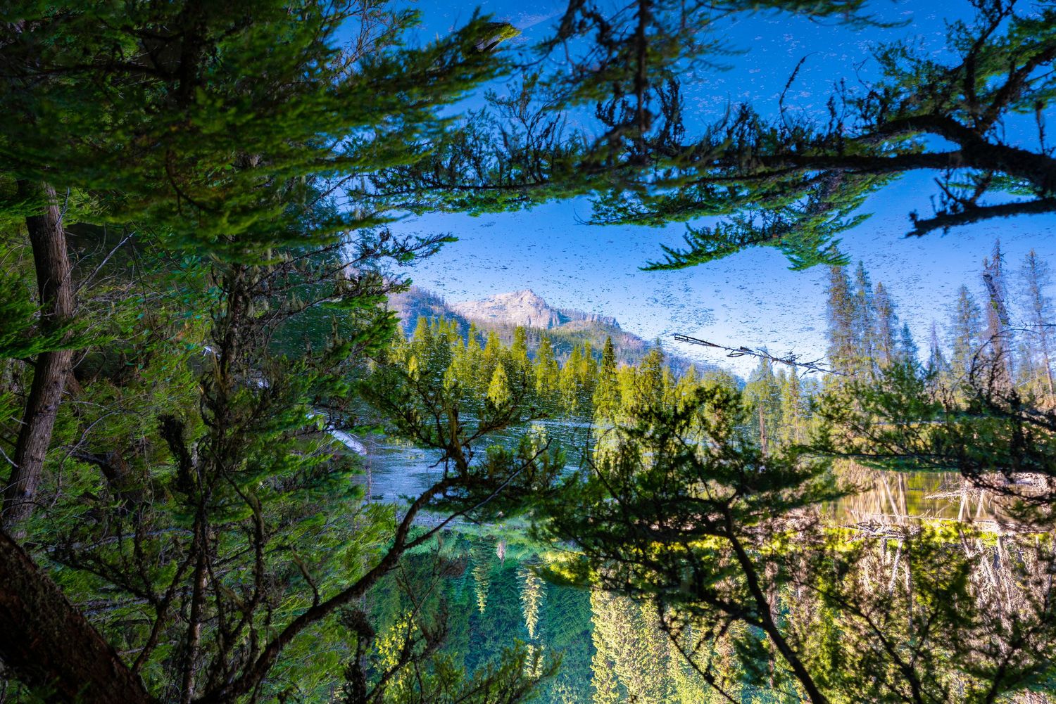Glacier National Park - Upper McDonald Creek
Fine Art Photography Print Sold by Sean Magner