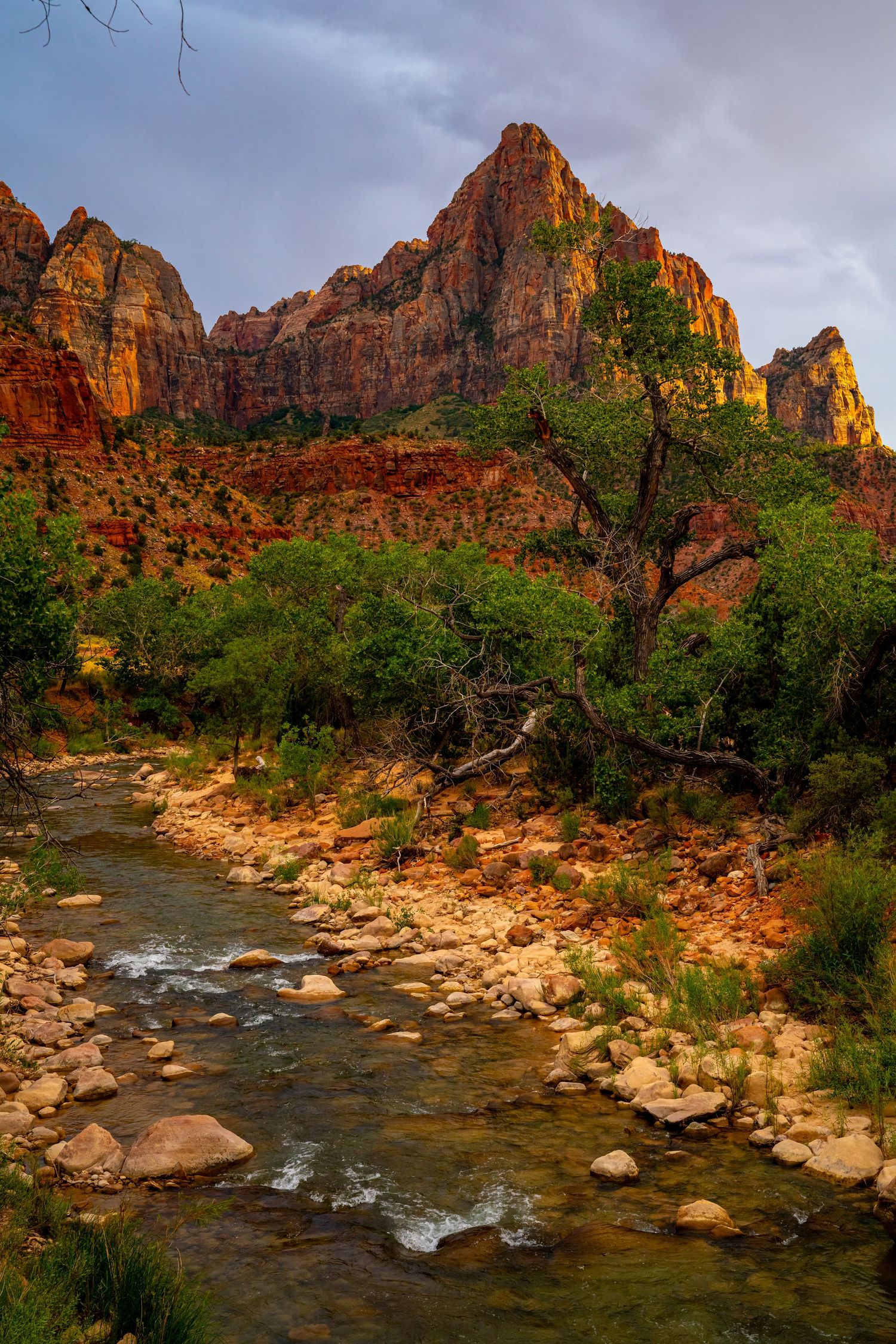 Zion National Park - The Watchman
Fine Art Photography Print Sold by Sean Magner