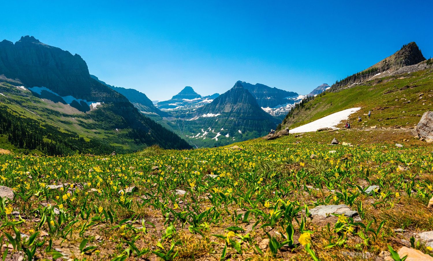 Glacier National Park - Logan Pass
Fine Art Photography Print Sold by Sean Magner