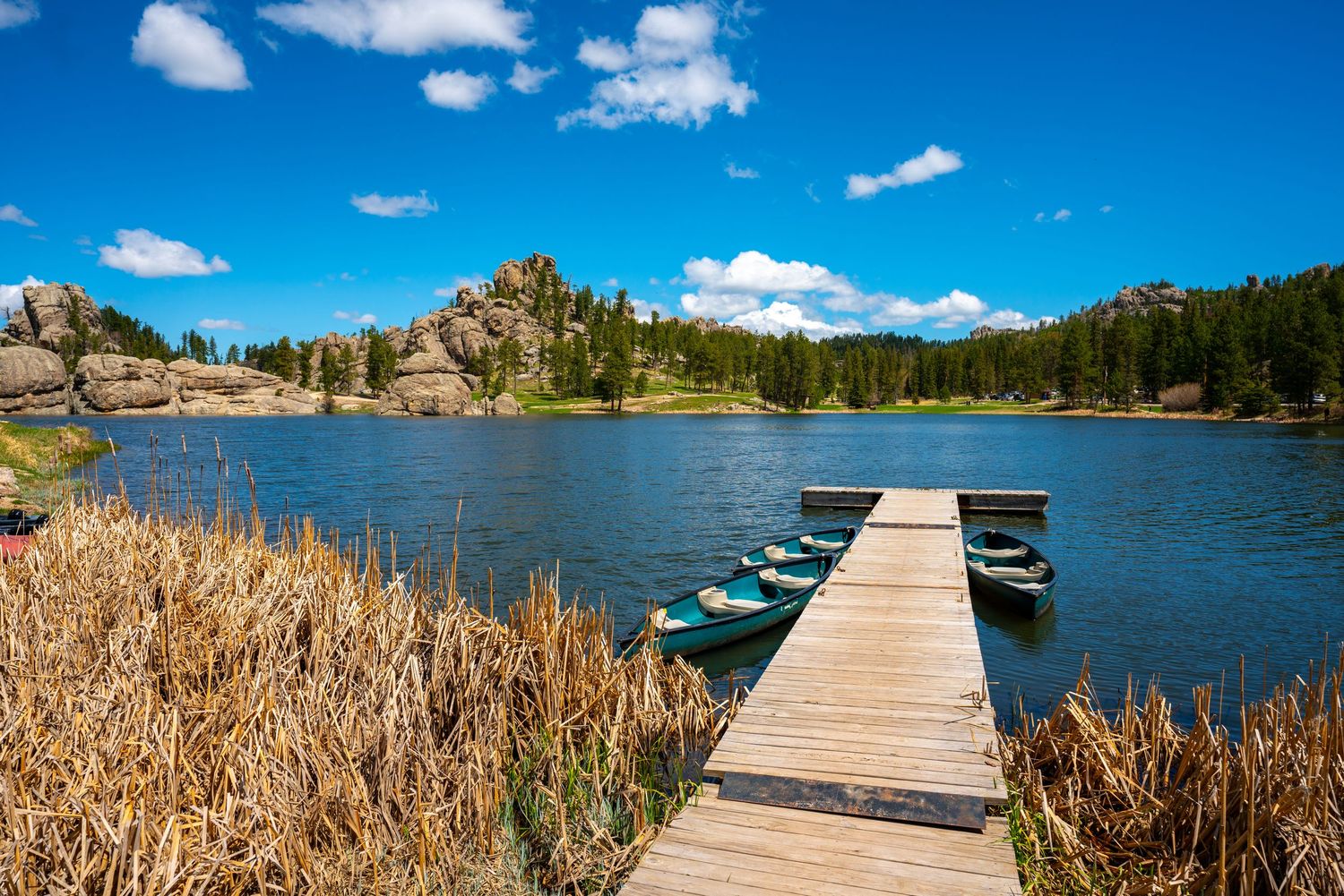 Custer State Park
Fine Art Photography Print Sold by Sean Magner