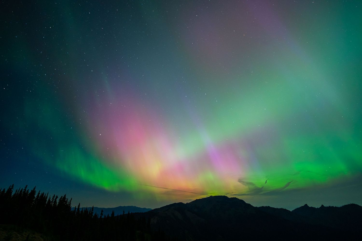 Olympic National Park - Hurricane Ridge
Fine Art Photography Print Sold by Sean Magner