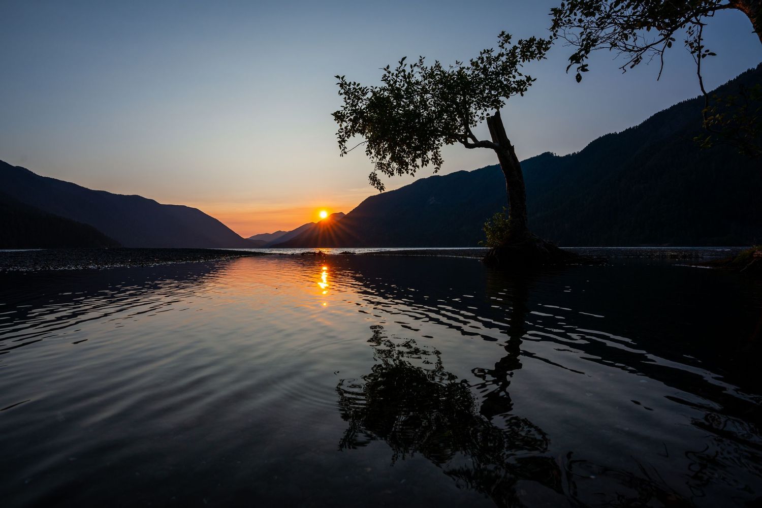 Olympic National Park - Lake Crescent
Fine Art Photography Print Sold by Sean Magner