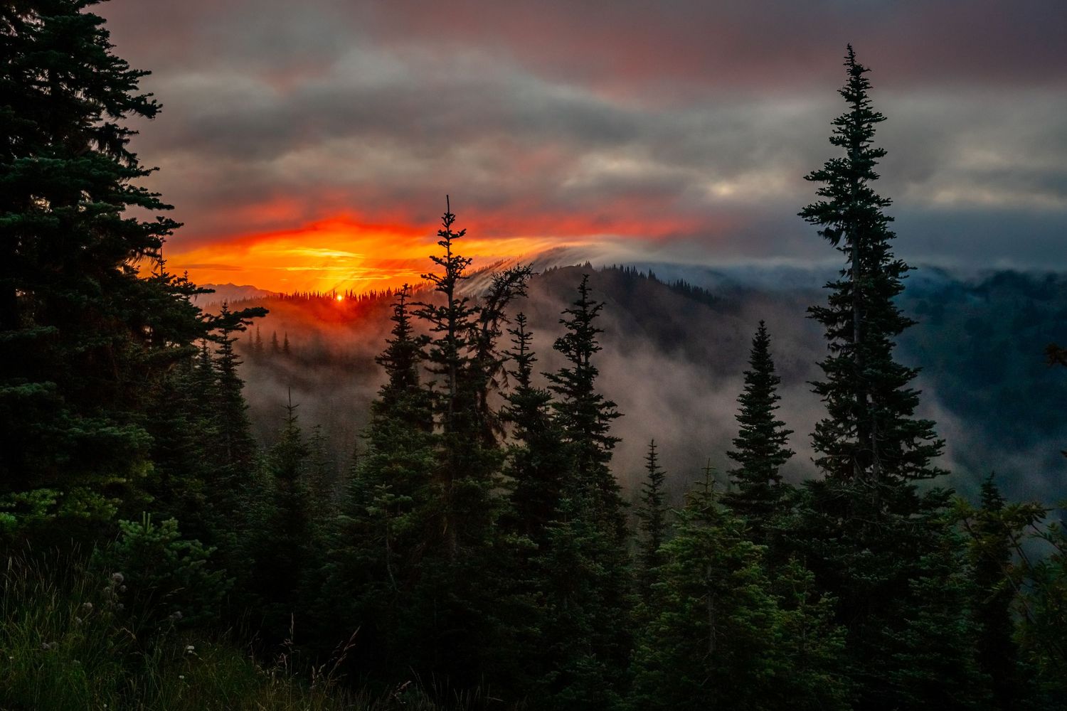Olympic National Park - Hurricane Ridge
Fine Art Photography Print Sold by Sean Magner