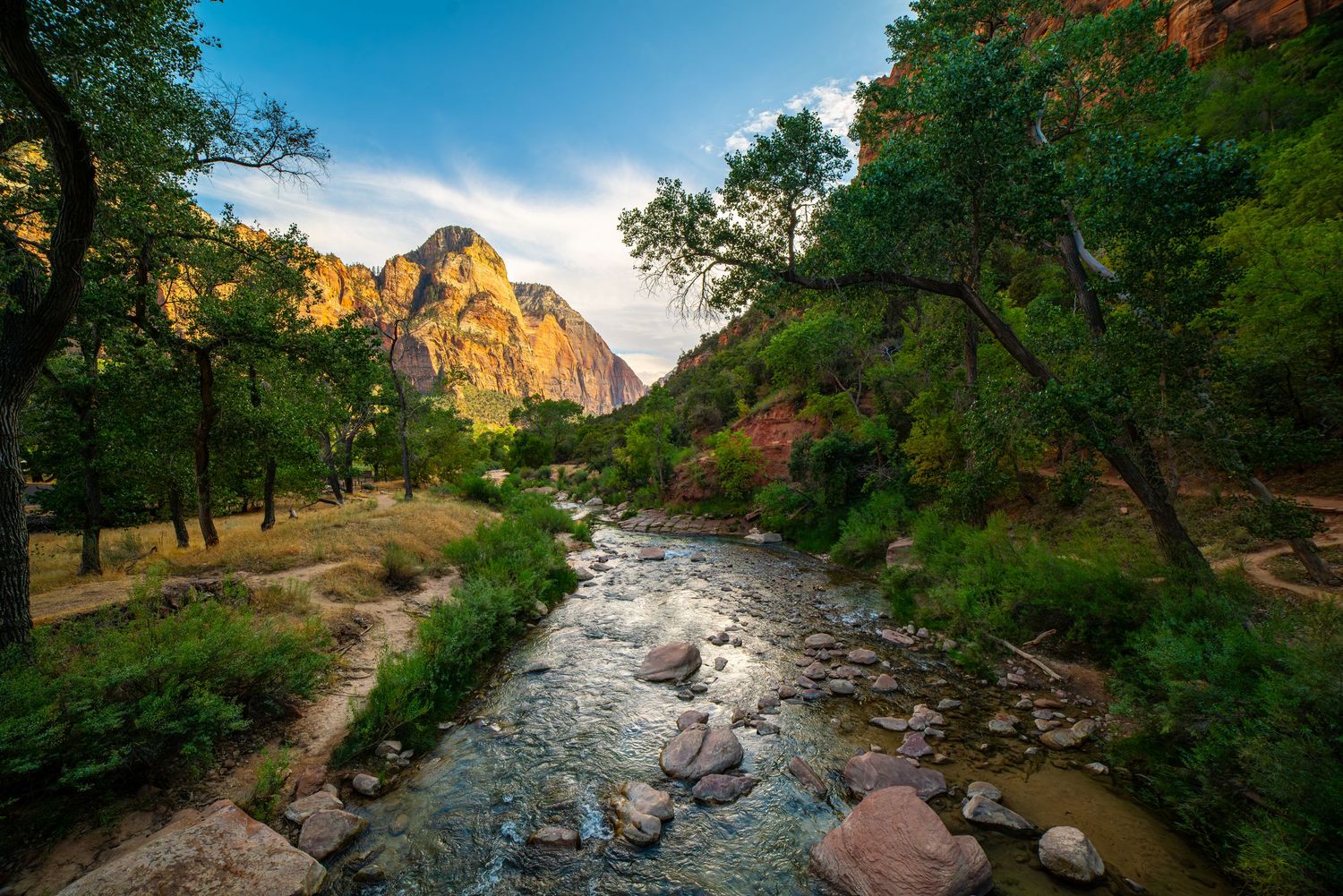 Zion National Park - Virgin River
Fine Art Photography Print Sold by Sean Magner