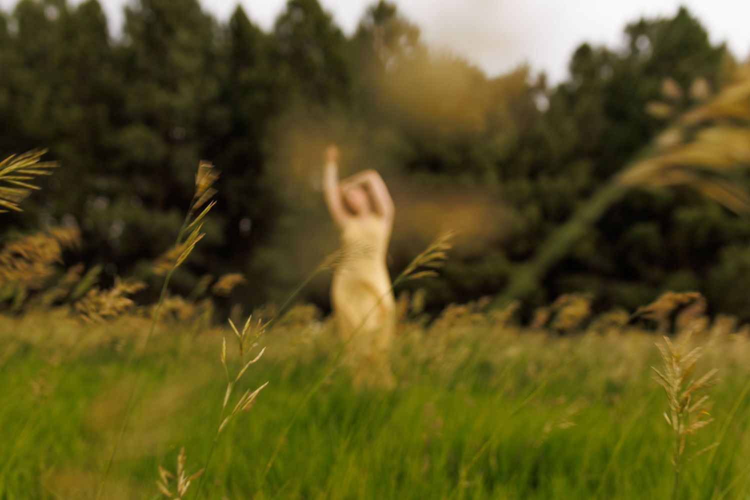 Blurred figure in white dress dancing in green meadow with arms raised against forest backdrop. Portrait photography for artist in Boulder.