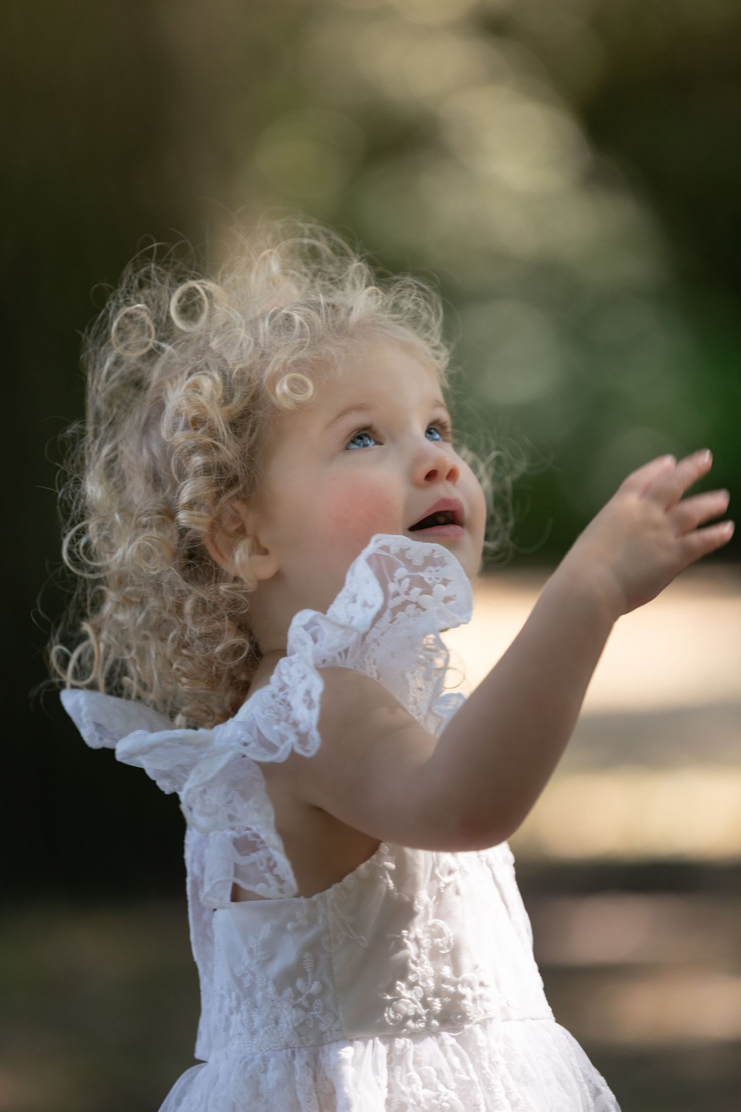 Curly blonde toddler girl in white lace dress reaching up outdoors.