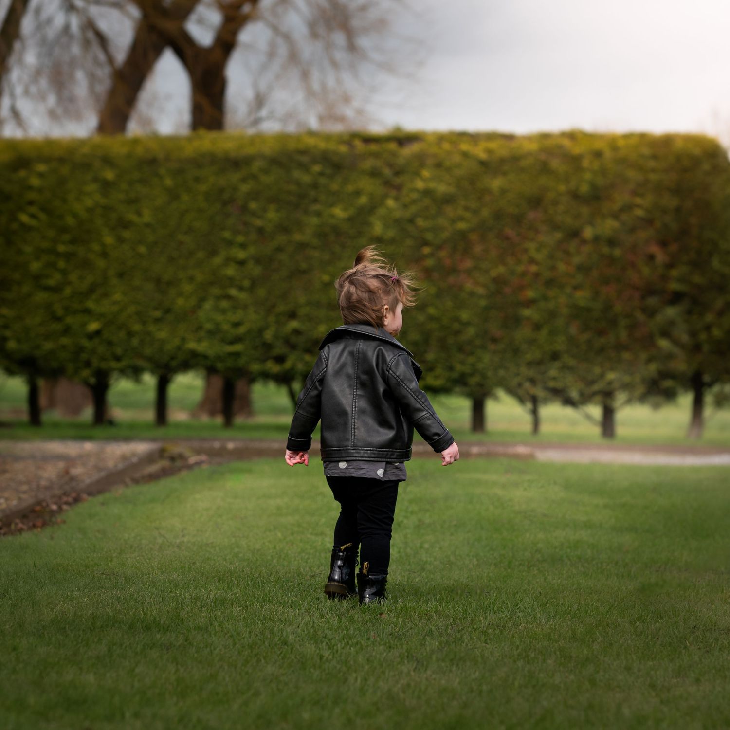 Little girl in black leather jacket walking through a formal garden with trimmed hedges.