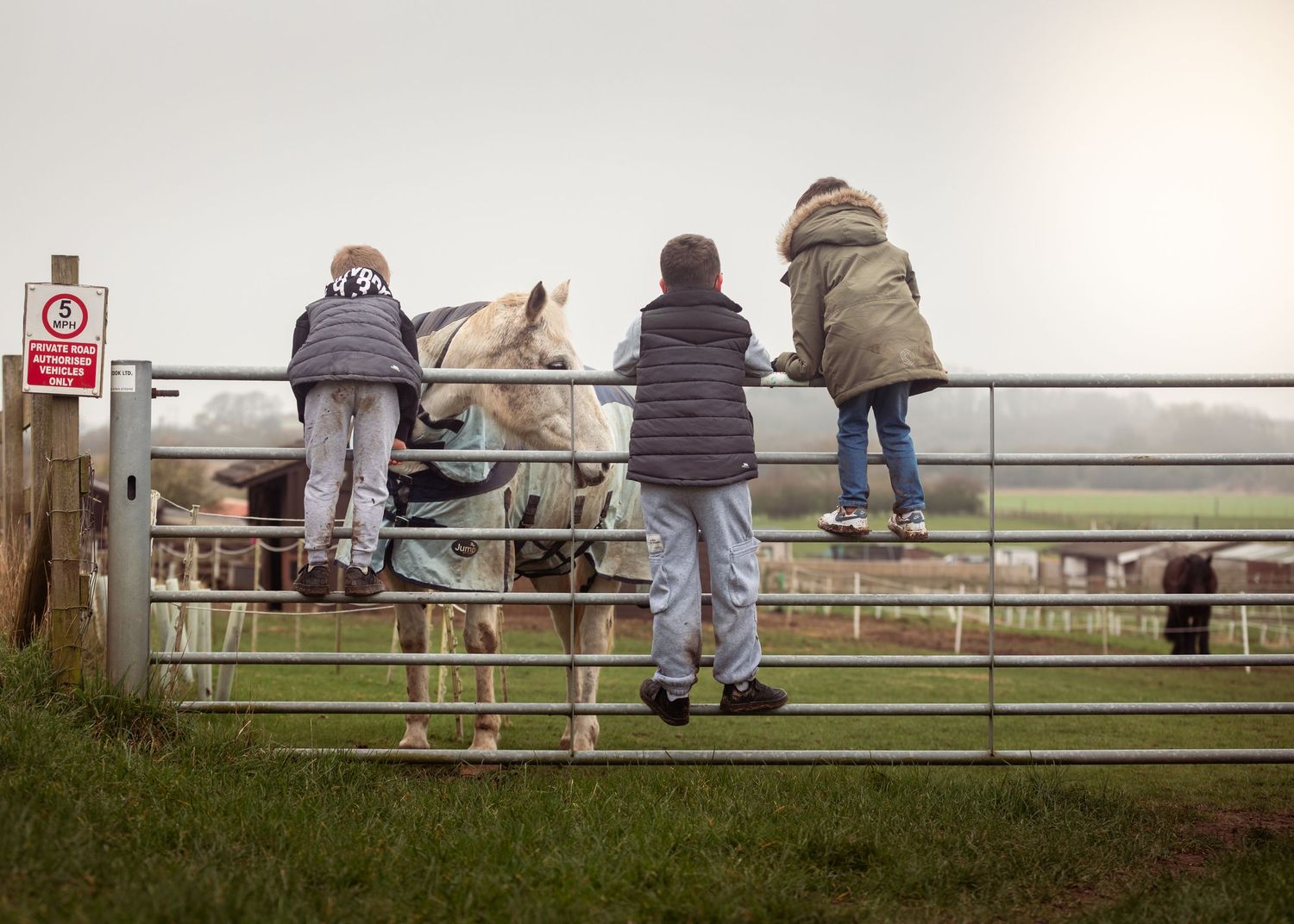 Three children climbing a metal farm gate to watch horses and cattle in a field.

Keyingham