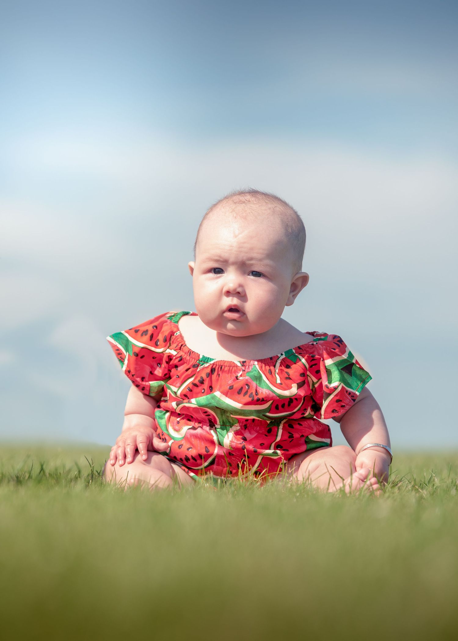Baby girl in red watermelon print romper sitting on green grass under blue sky.

Blue Dolphin