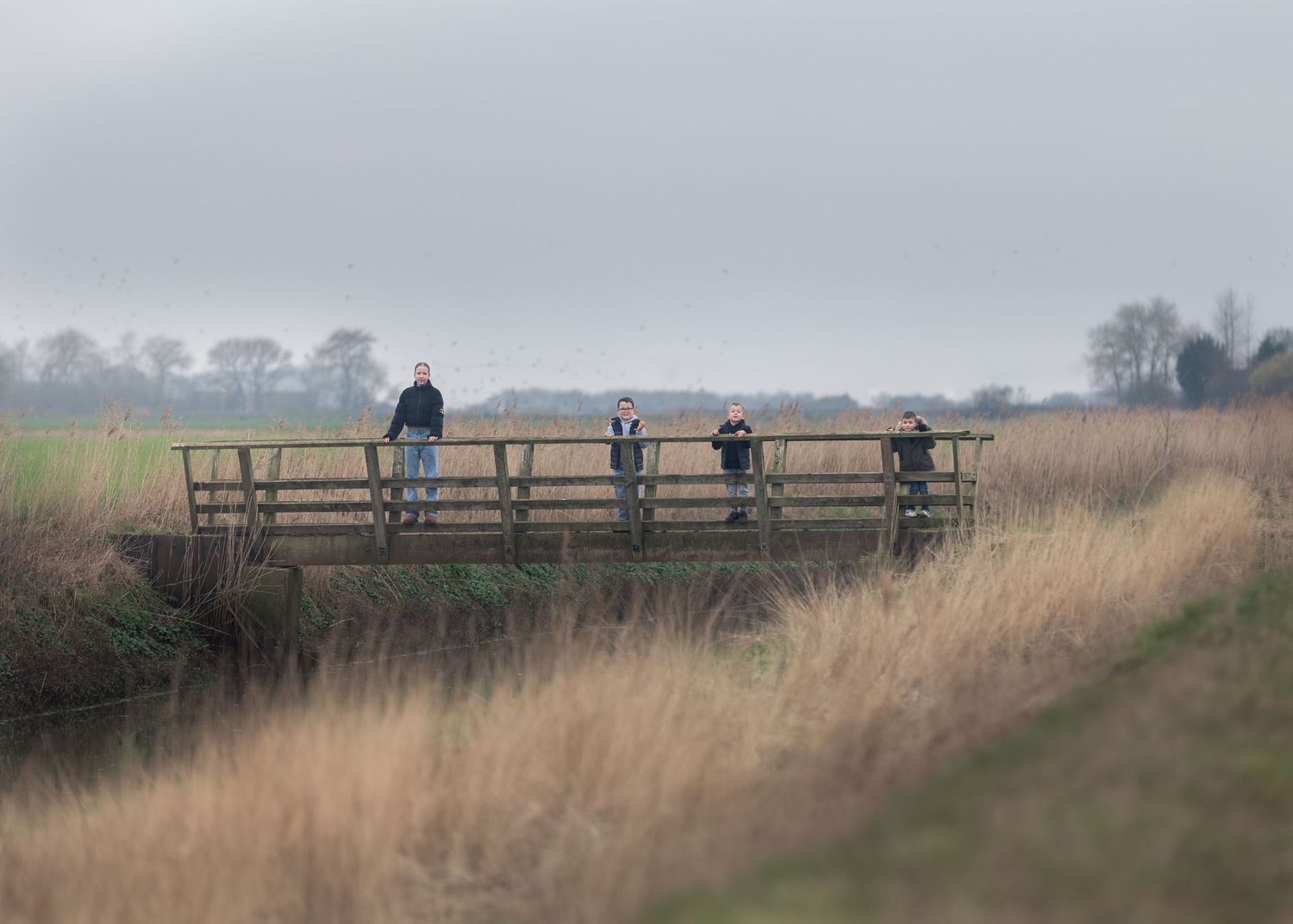 Three people on a wooden observation deck surrounded by tall reeds in open countryside.