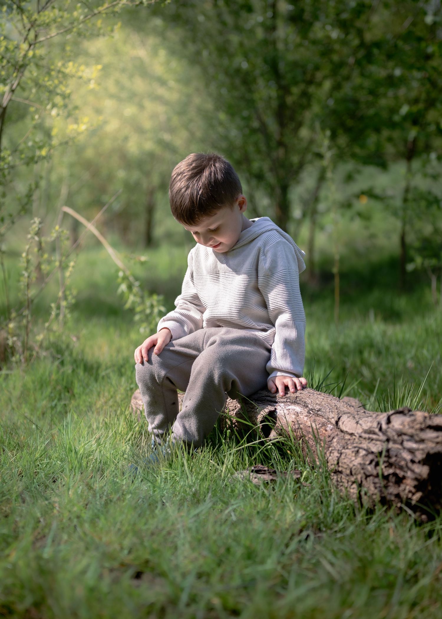 Young boy in beige hoodie sitting on a fallen log in a lush green forest, looking down thoughtfully.