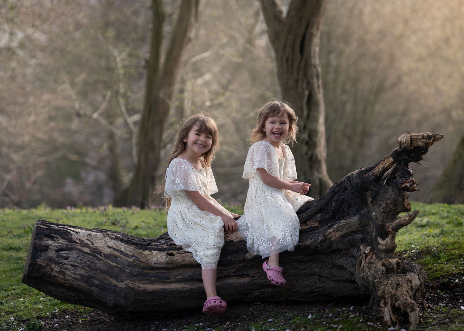 Two young girls in white dresses sitting on a fallen log in a sunlit forest.

East Park Hull