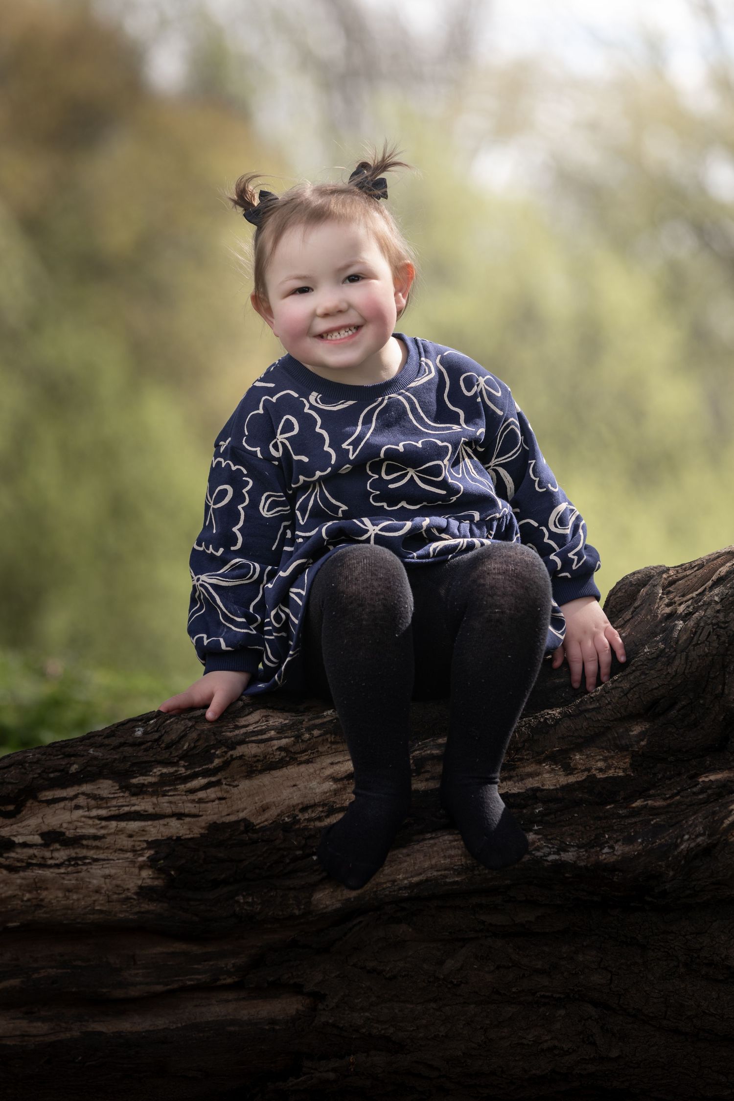 Smiling toddler girl with pigtails sitting on a log in a forest, wearing a navy patterned dress and grey tights.

East Park Hull