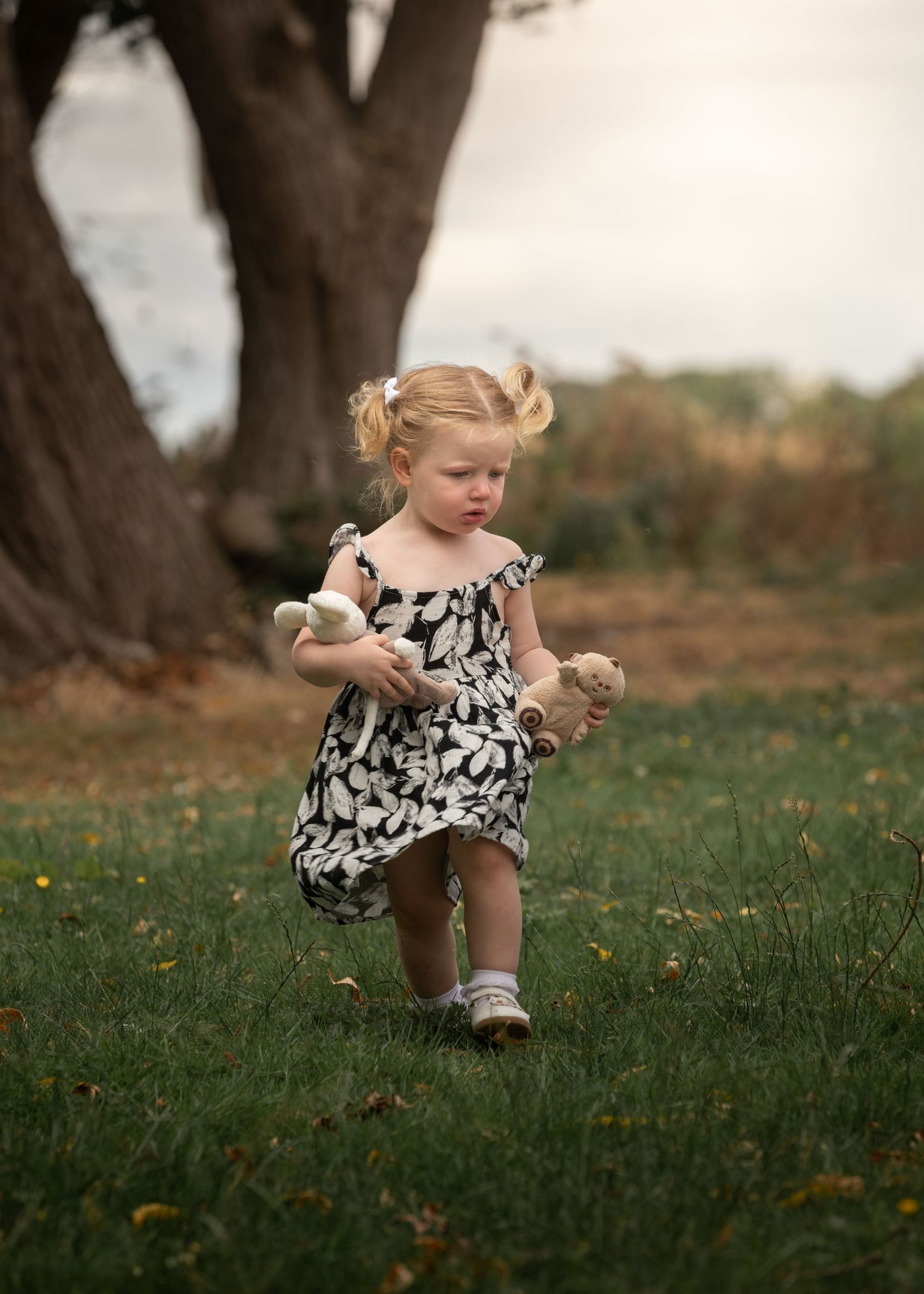 A toddler girl in a black and white floral dress walks on grass holding two stuffed animals near a large tree.