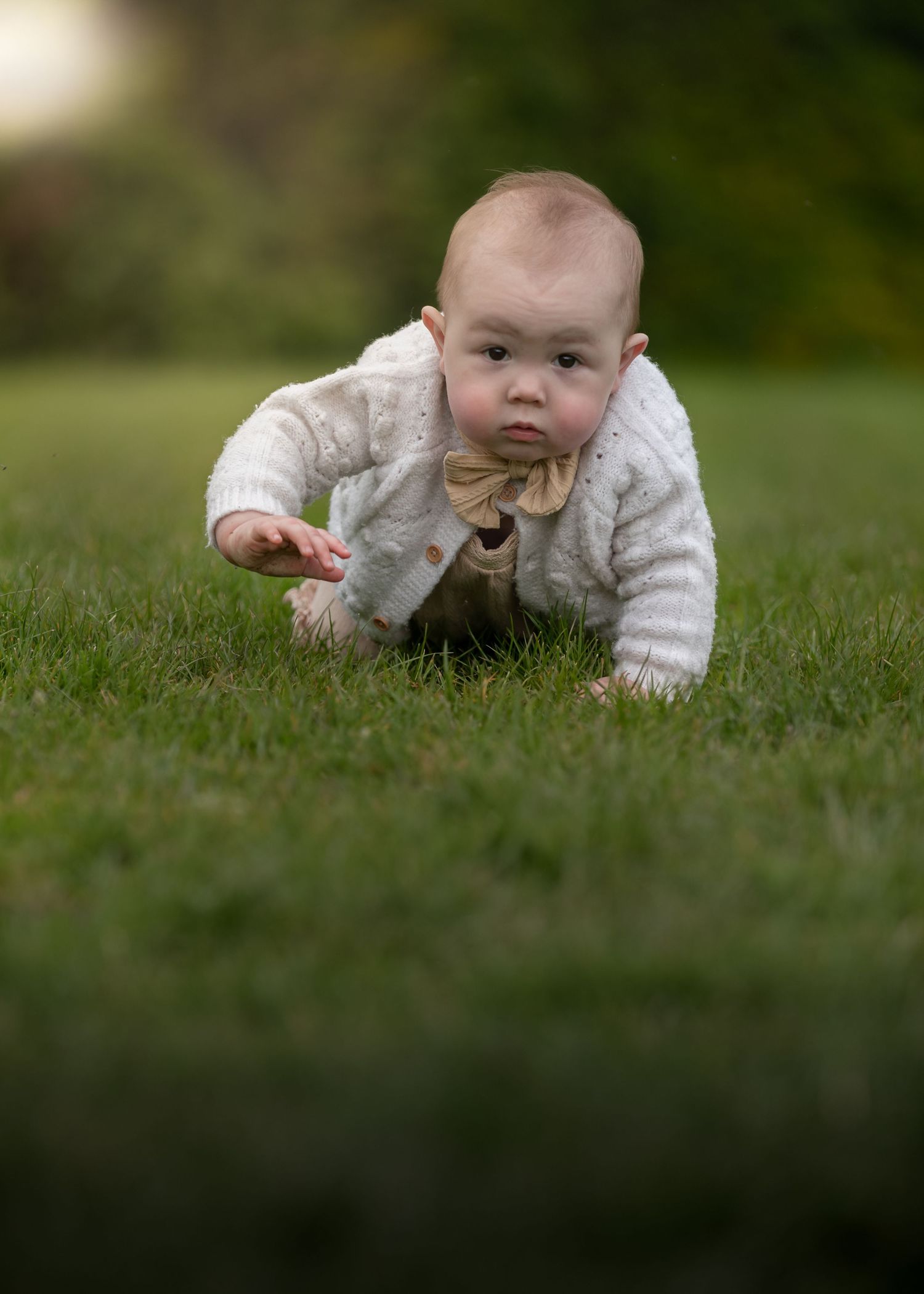 A baby in a white knit sweater with a bow tie crawls on lush green grass outdoors.