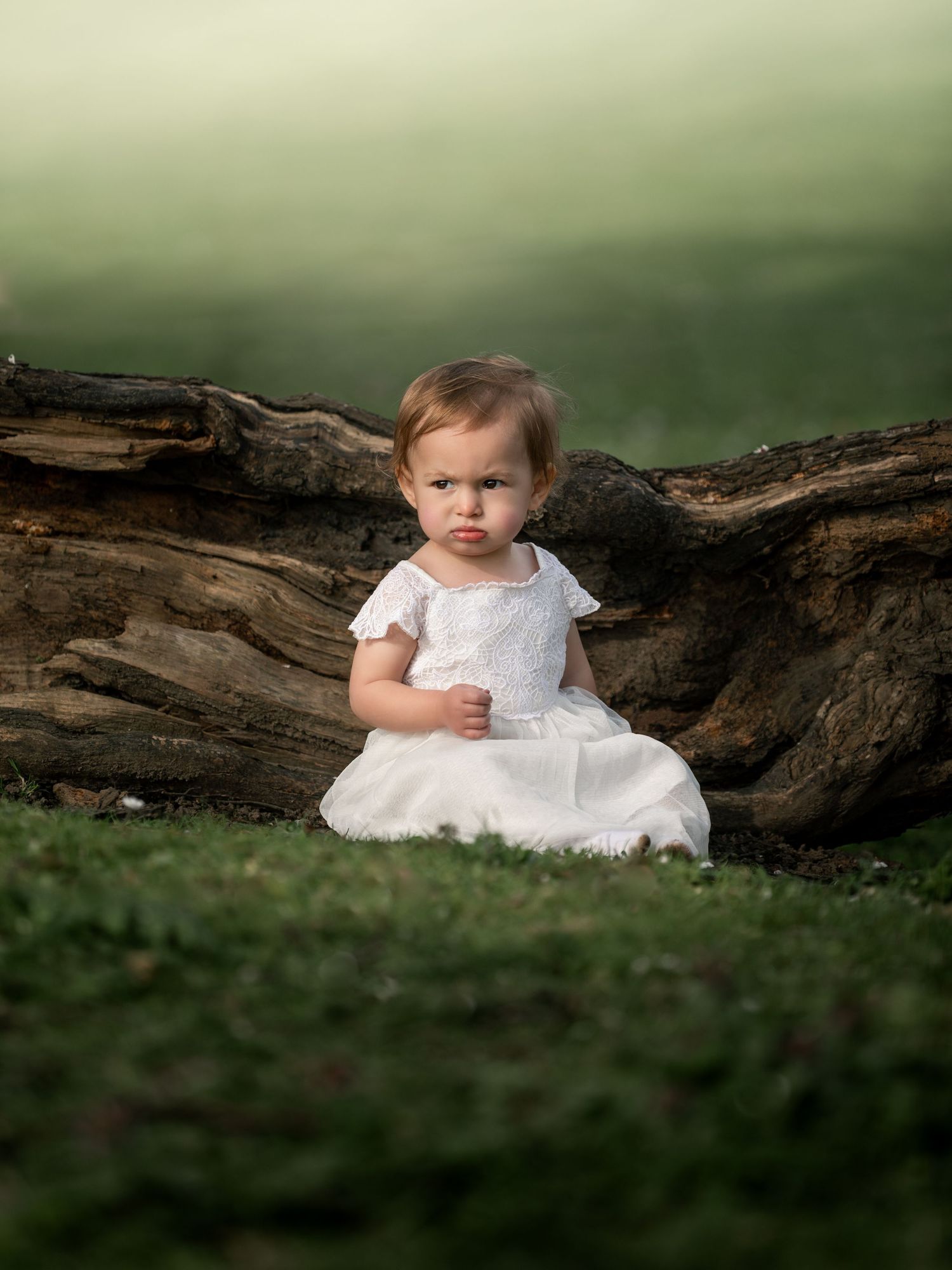 Toddler girl in a white dress sitting on grass beside a large tree root.

East Park Hull
