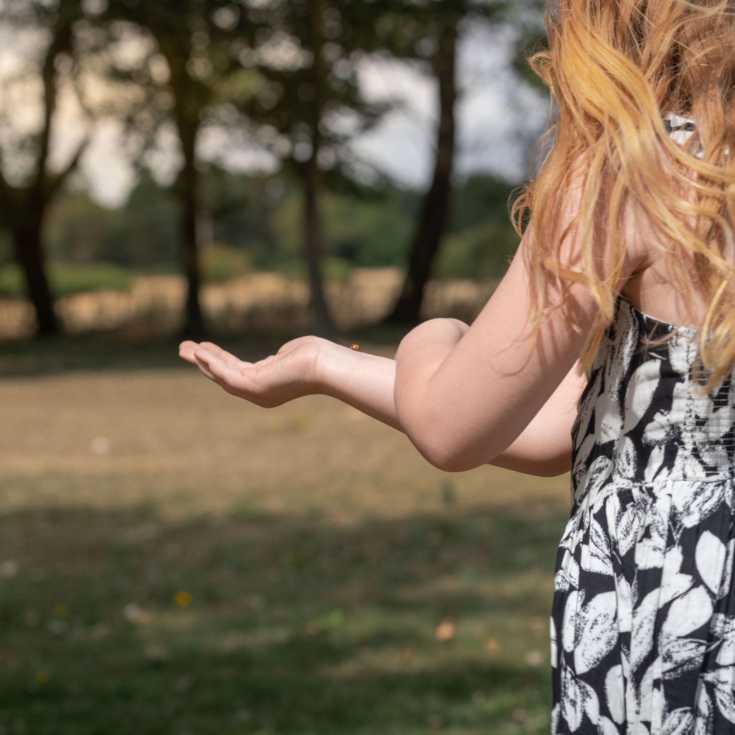 Woman with blonde hair in floral dress extending her hand outdoors in a sunny park setting.