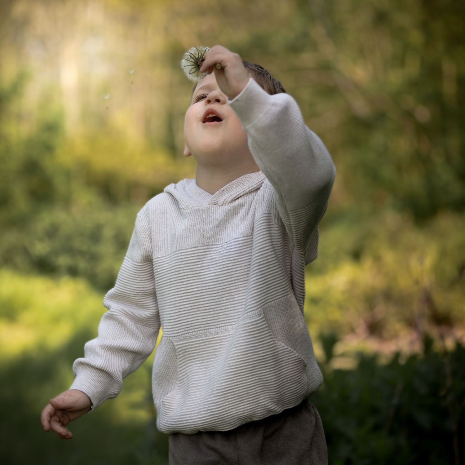 A young child in a white hoodie holds a dandelion above their face outdoors in a lush green garden.