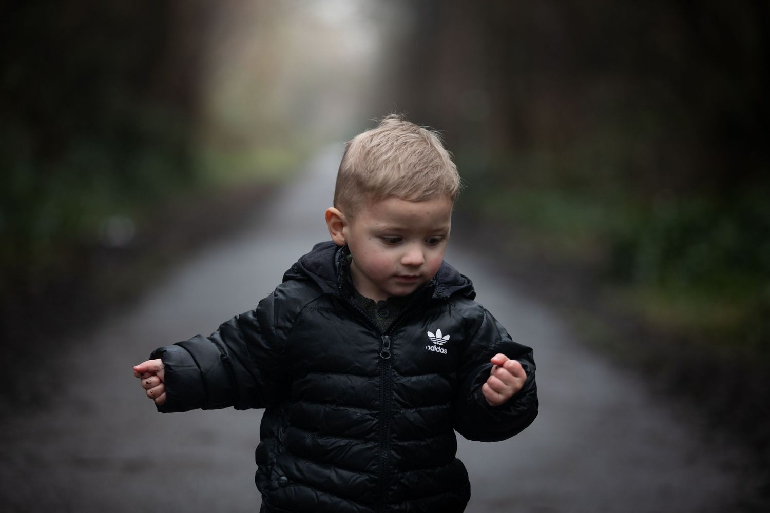 Cute toddler boy in black Adidas puffer jacket walks along a dark forest road.

Sutton Village Hull