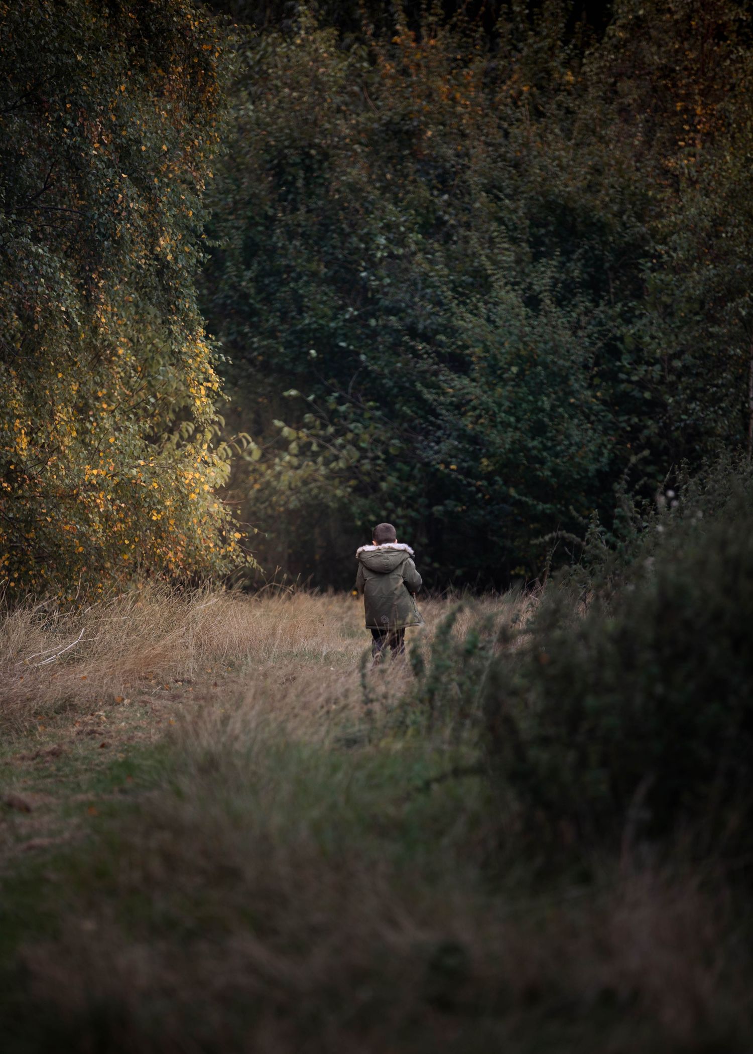 Person walking along a narrow autumn woodland trail.

Sutton Village Hull