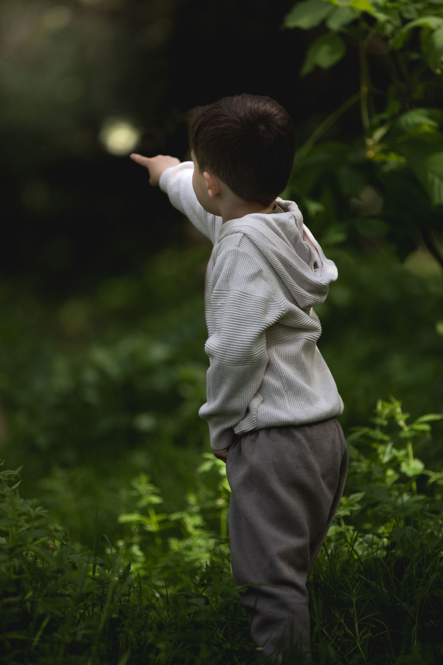 Young boy in grey hoodie pointing into lush green forest foliage from behind.

Sutton Village