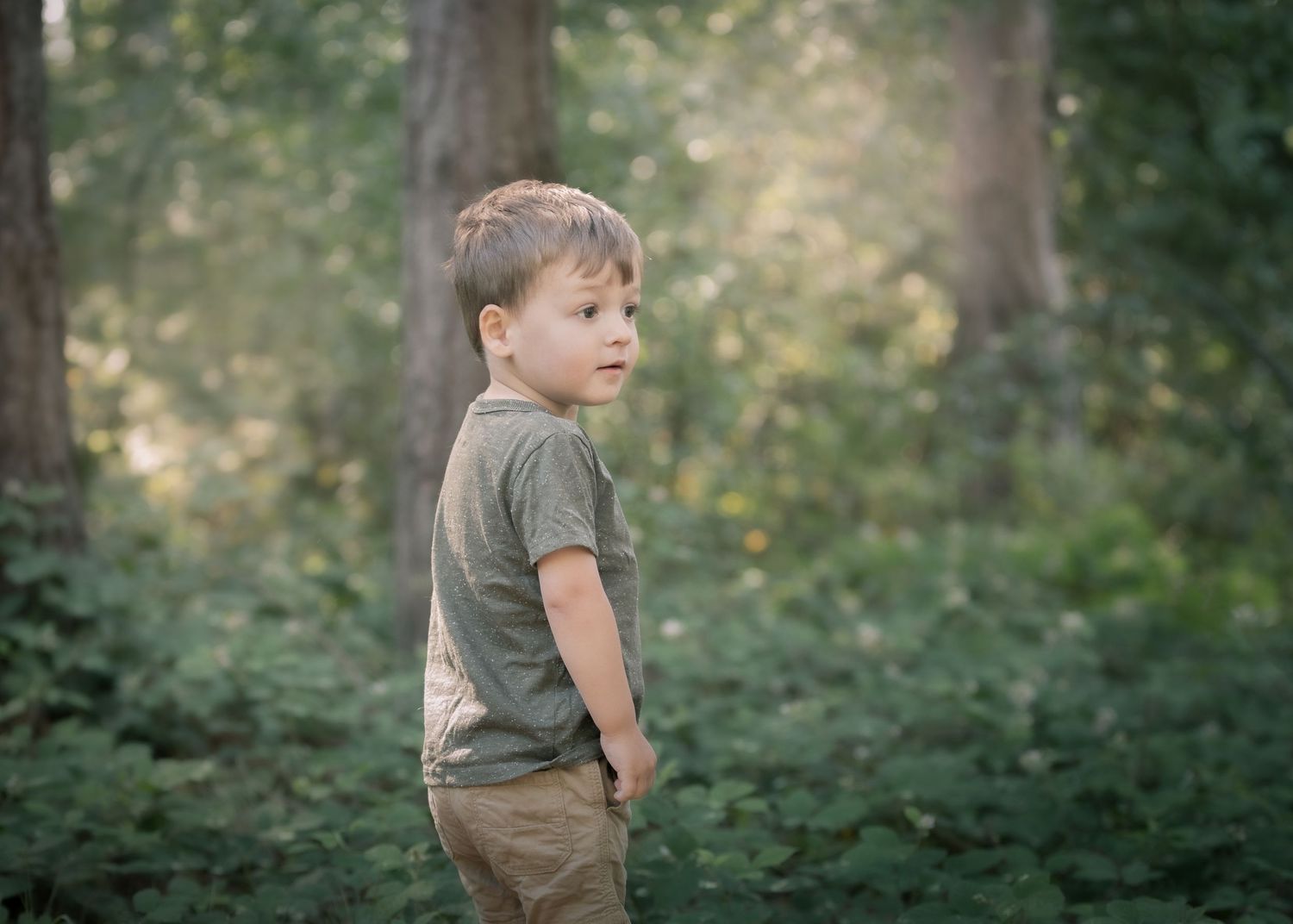 Young boy in olive t-shirt glancing back while standing among green woodland trees.
East Park Hull