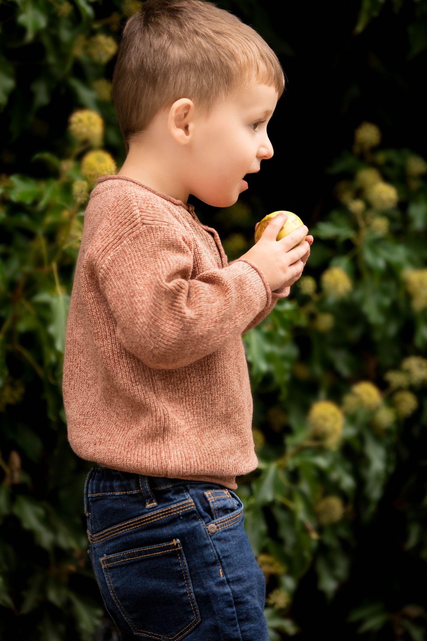 Young boy in pink knit sweater and jeans eating an apple outdoors against green foliage background.

Sutton Village Hull