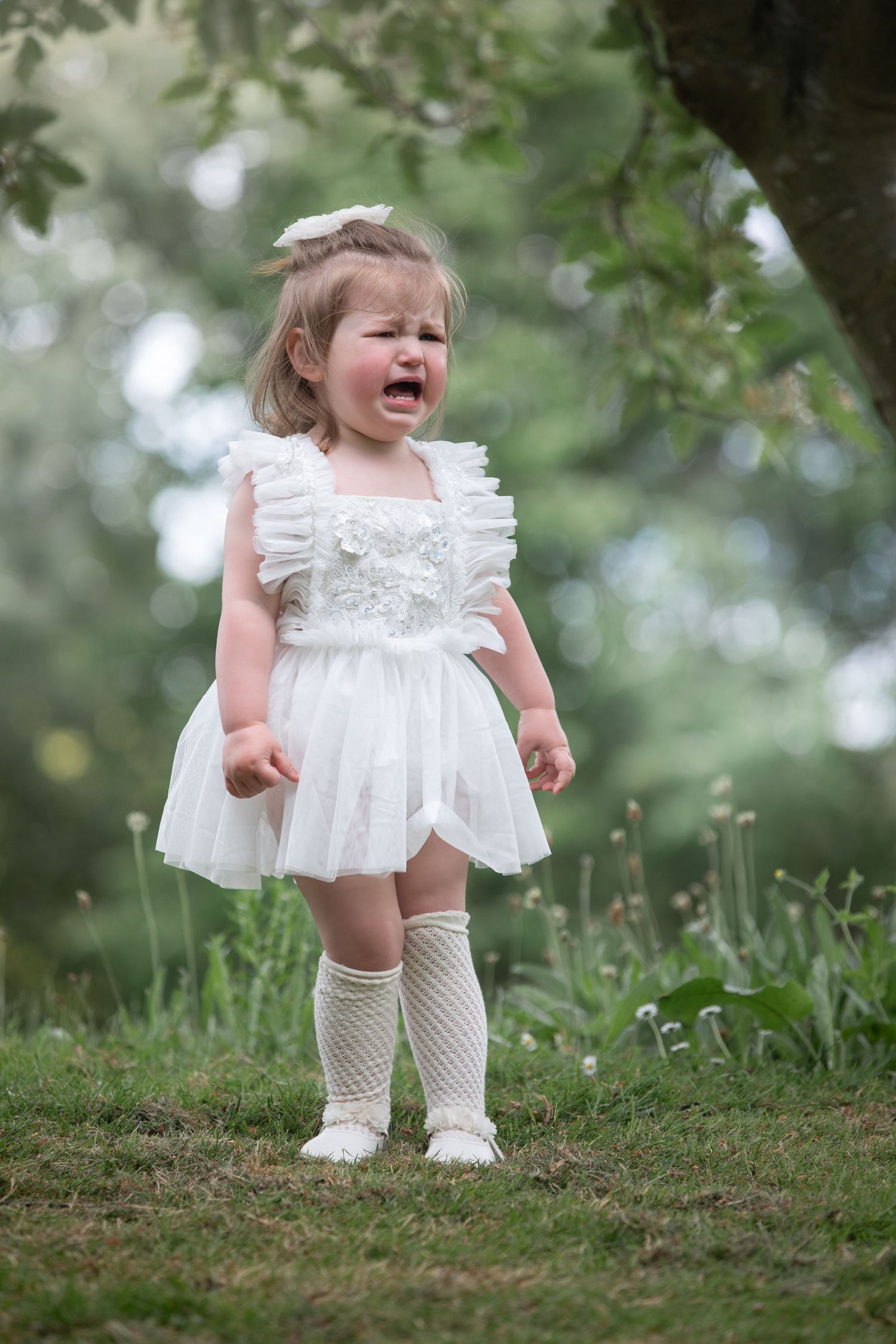 A crying toddler girl in a white tutu dress and knee socks stands on green grass under a tree.

East Park Hull