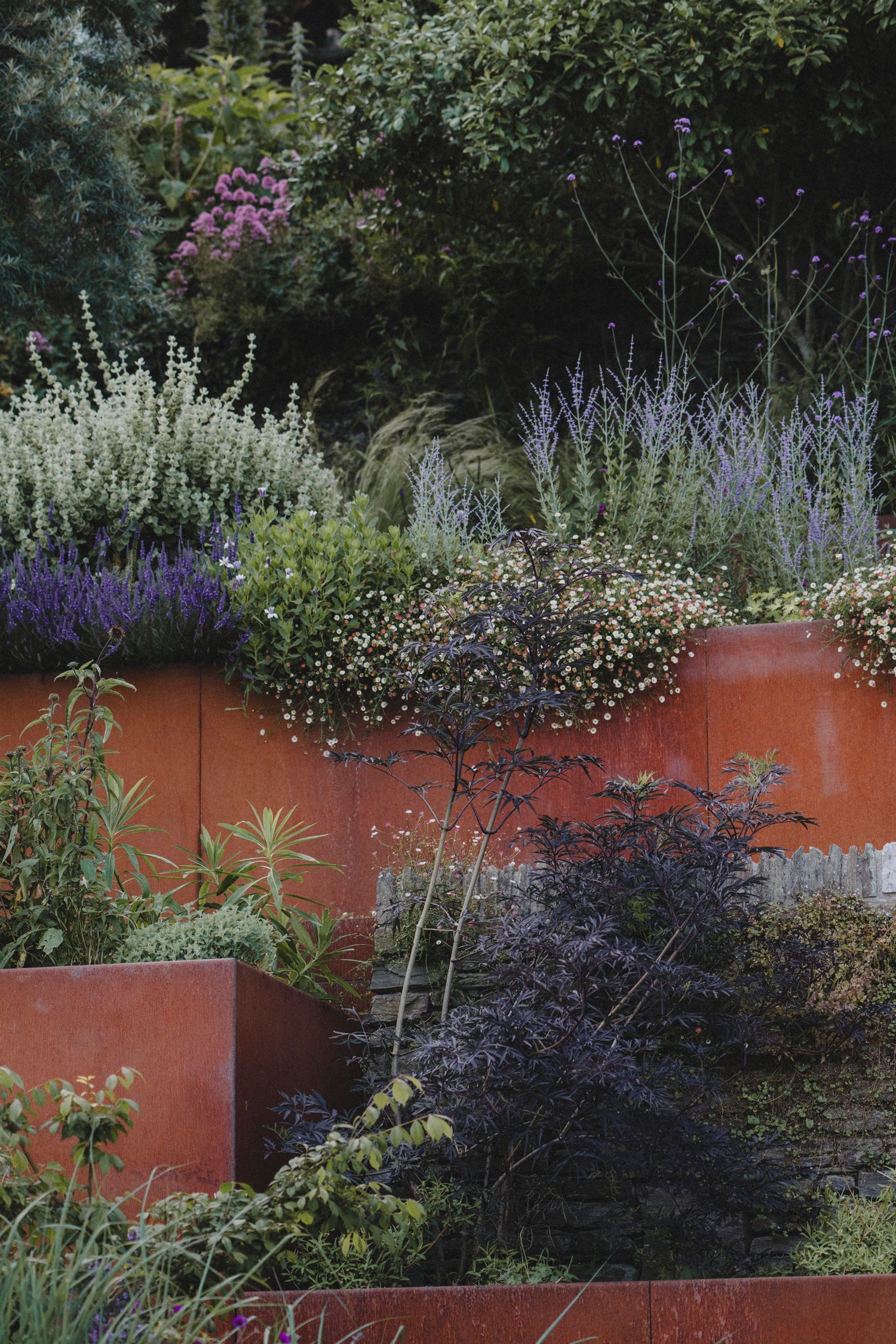 Garden Landscape Photography - Darren Hawkes Garden Design