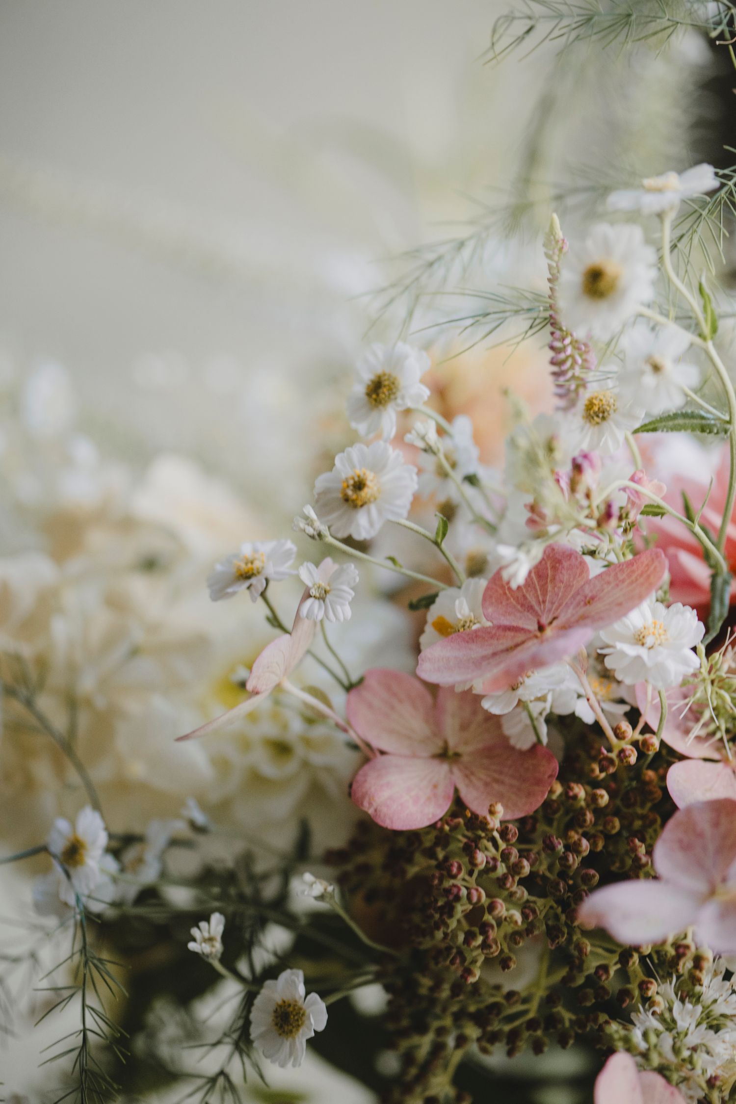 Botanical Photography - Beauty in Plants - Nature Photography