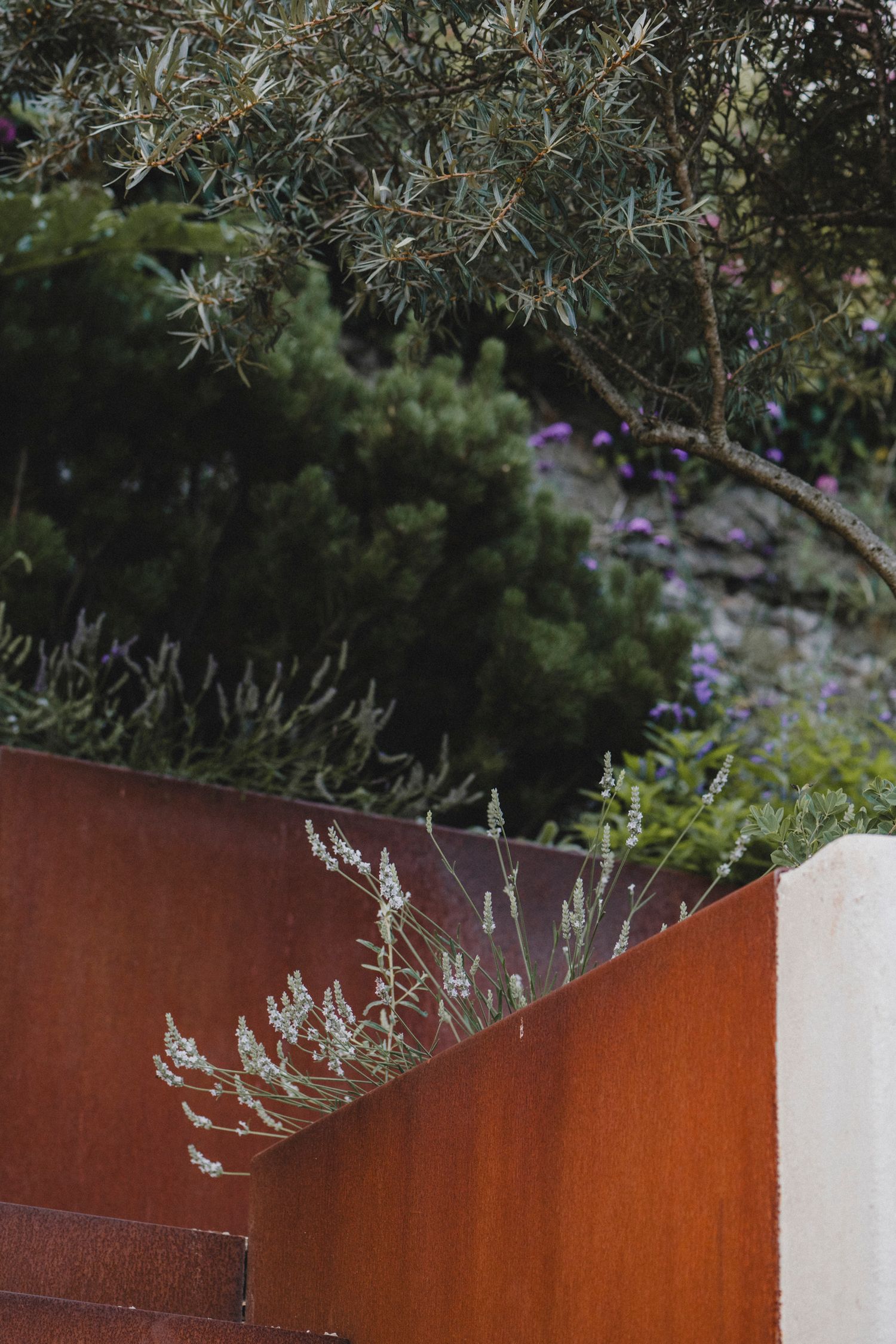 Garden Landscape Photography - Darren Hawkes Garden Design