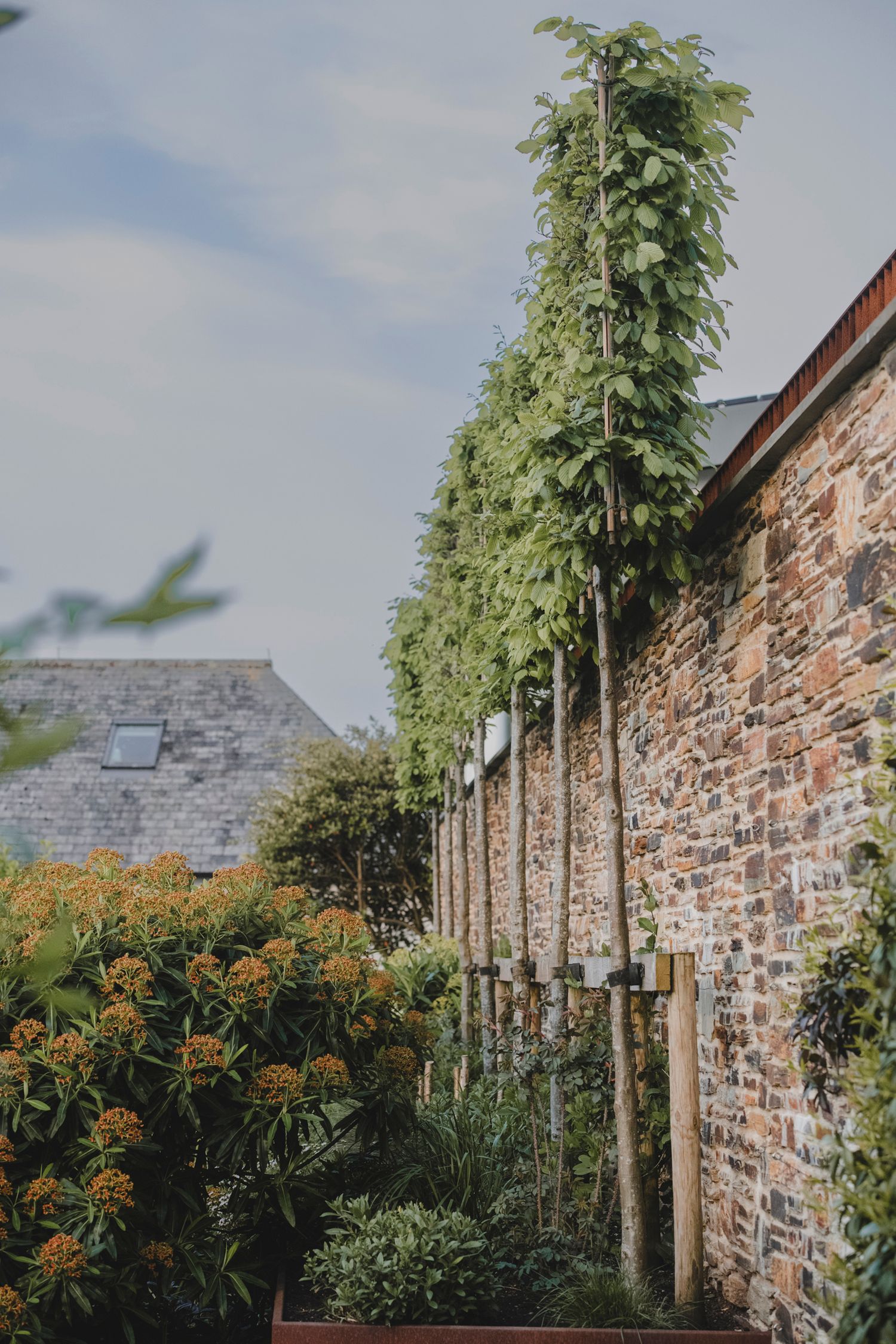 Garden Landscape Photography - Darren Hawkes Garden Design
