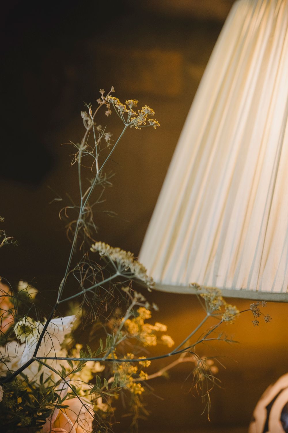Botanical Photography - Beauty in Plants - Nature Photography