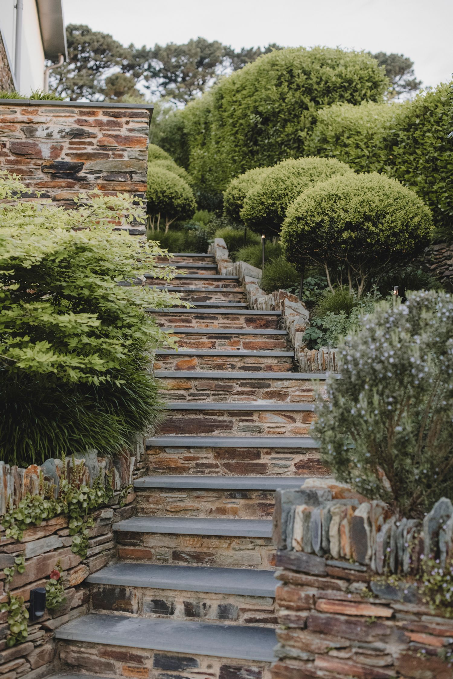 Garden Landscape Photography - Darren Hawkes Garden Design
