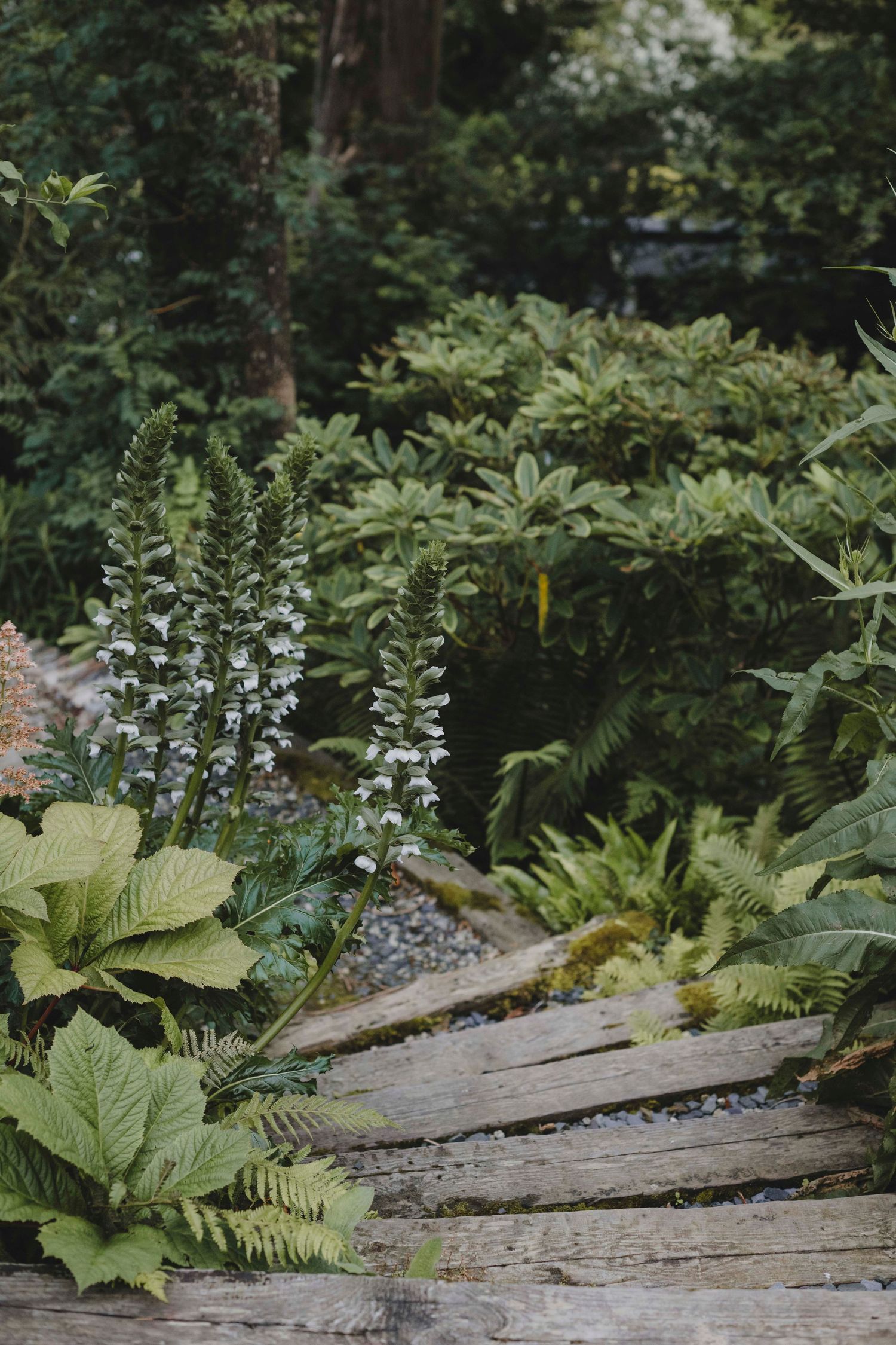 Garden Landscape Photography - Darren Hawkes Garden Design