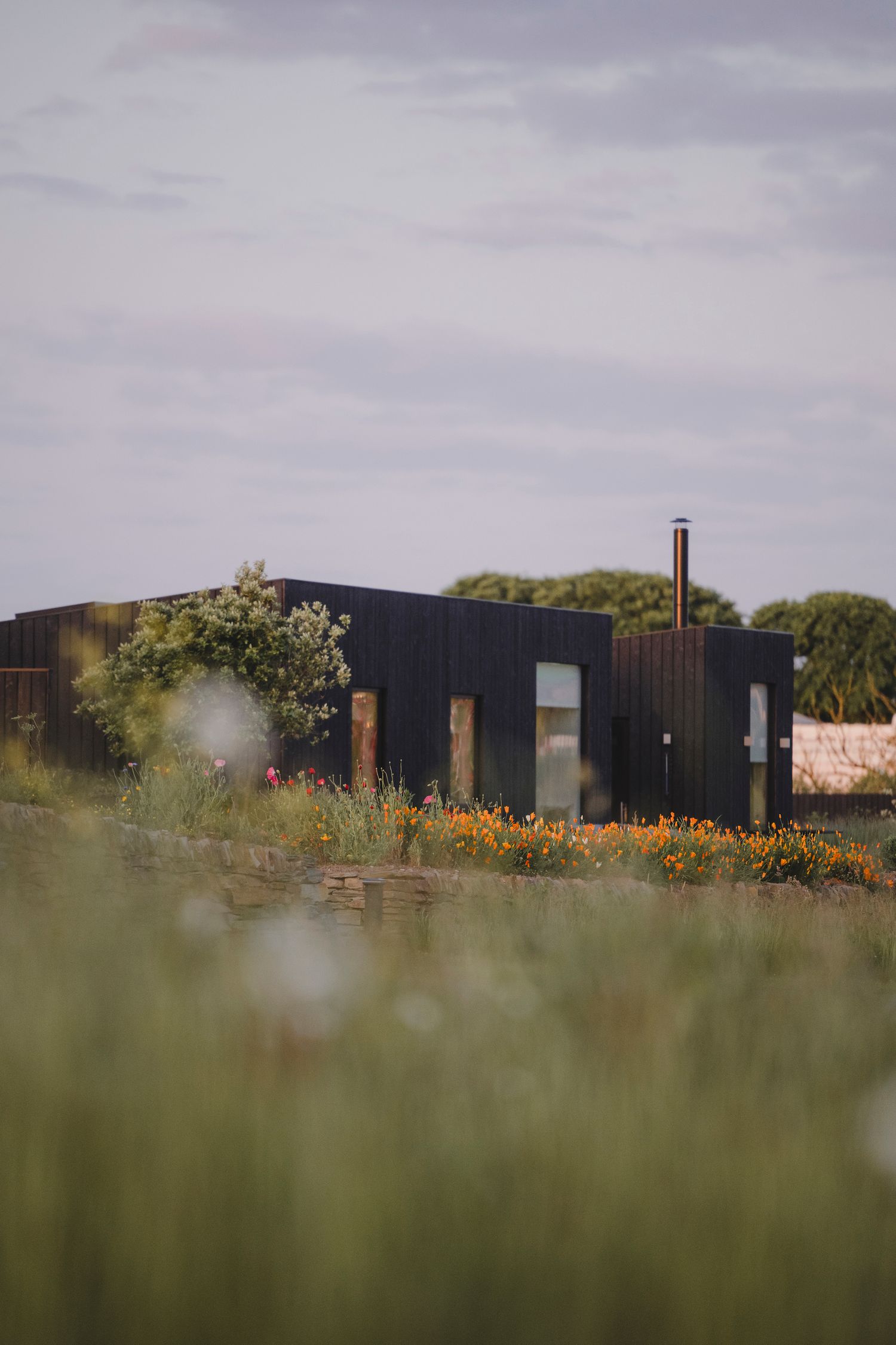 Garden Landscape Photography - Darren Hawkes Garden Design - Koto at the Point Polzeath