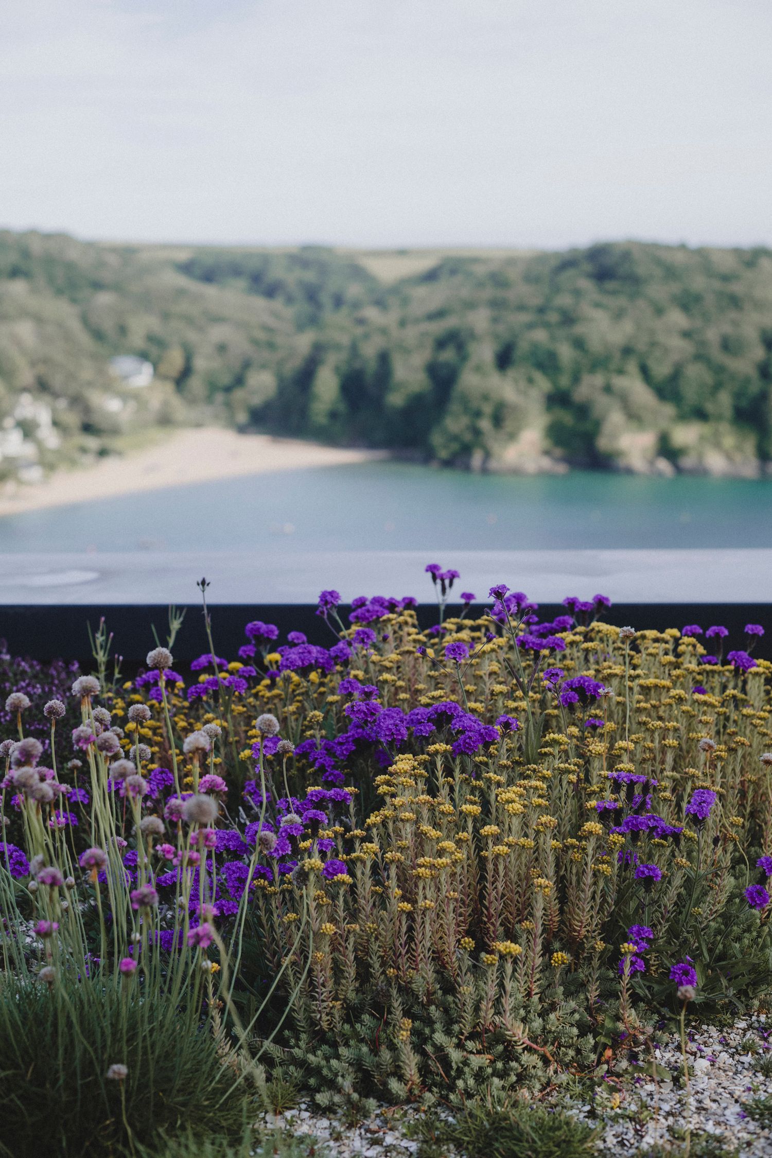Garden Landscape Photography - Darren Hawkes Garden Design