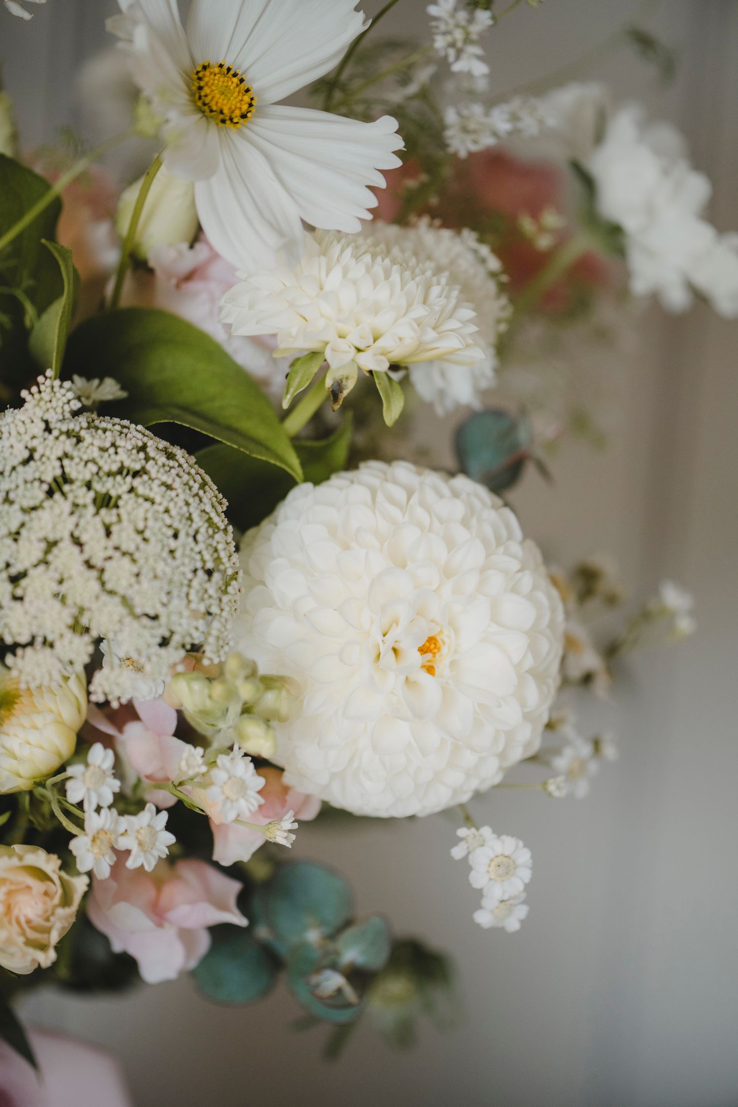 Botanical Photography - Beauty in Plants - Nature Photography
