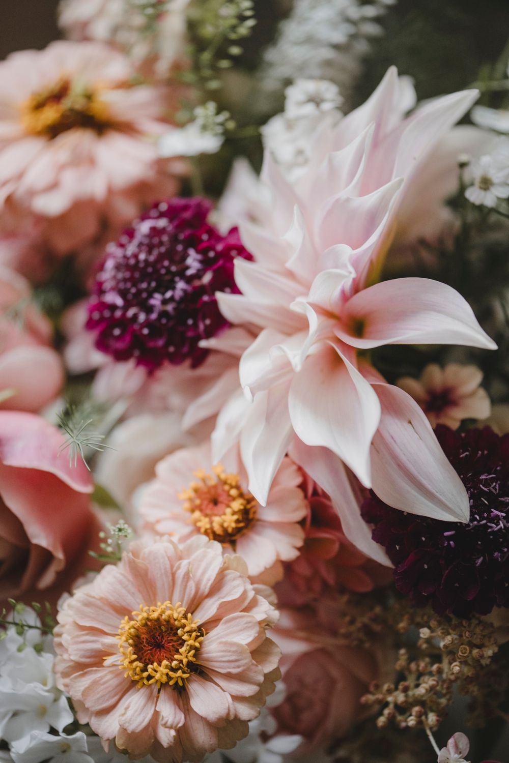 Botanical Photography - Beauty in Plants - Nature Photography
