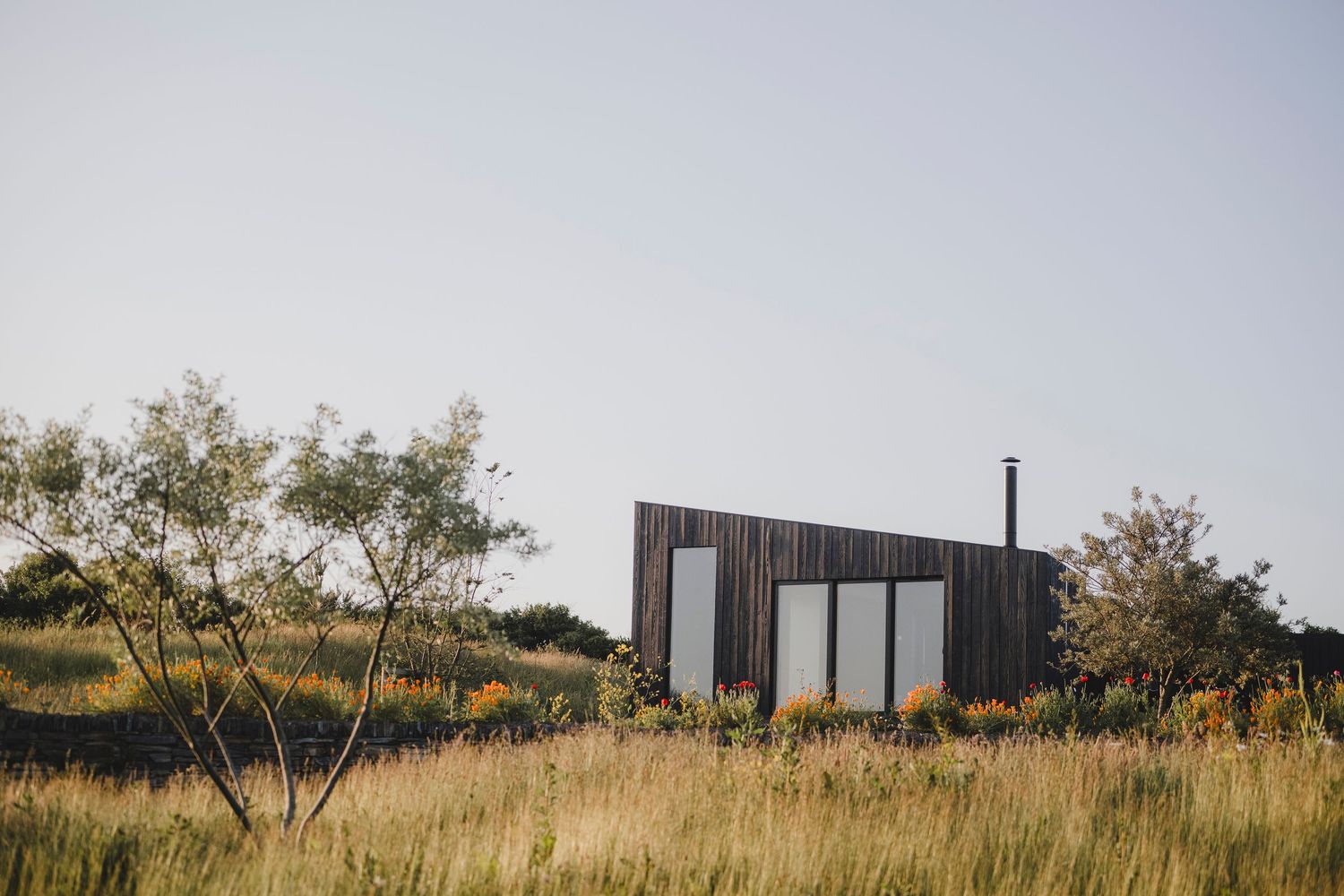 Garden Landscape Photography - Darren Hawkes Garden Design - Koto at the Point Polzeath