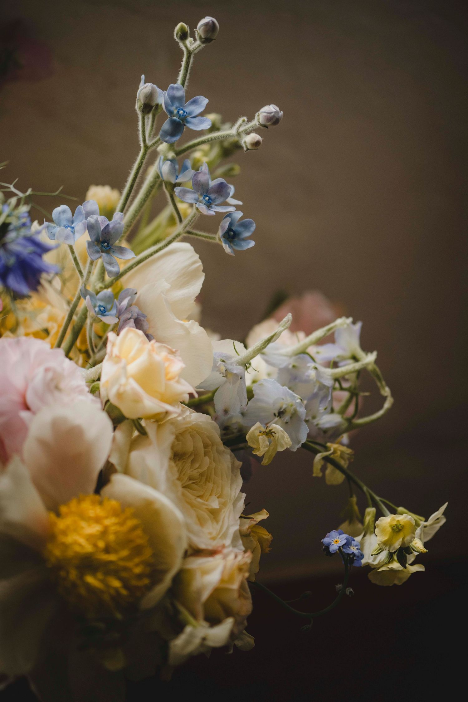 Botanical Photography - Beauty in Plants - Nature Photography