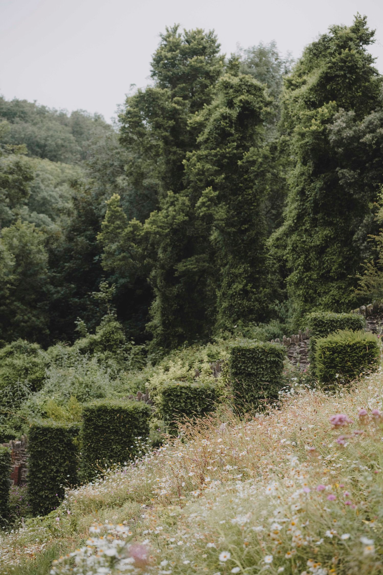 Garden Landscape Photography - Darren Hawkes Garden Design - Fowey