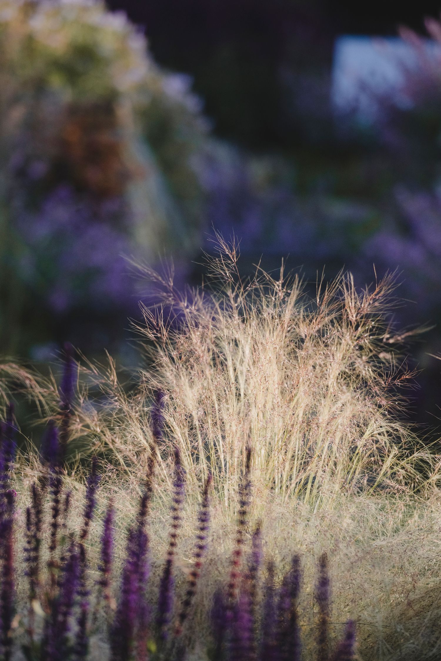 Garden Landscape Photography