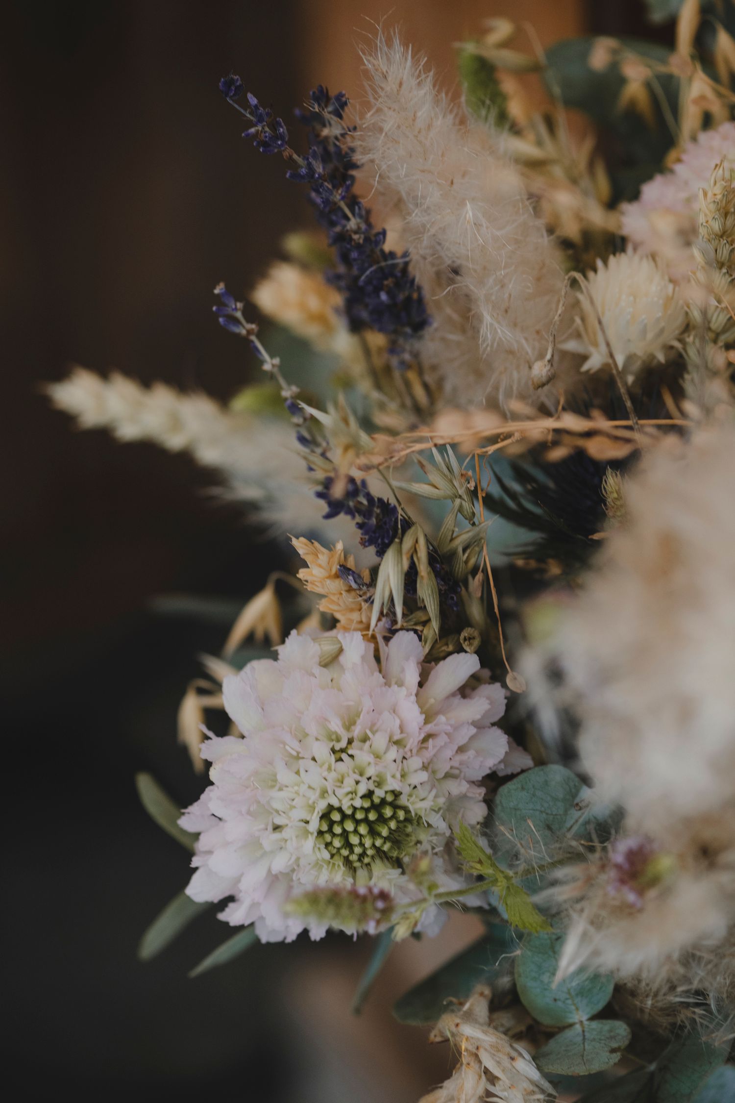 Botanical Photography - Beauty in Plants - Nature Photography