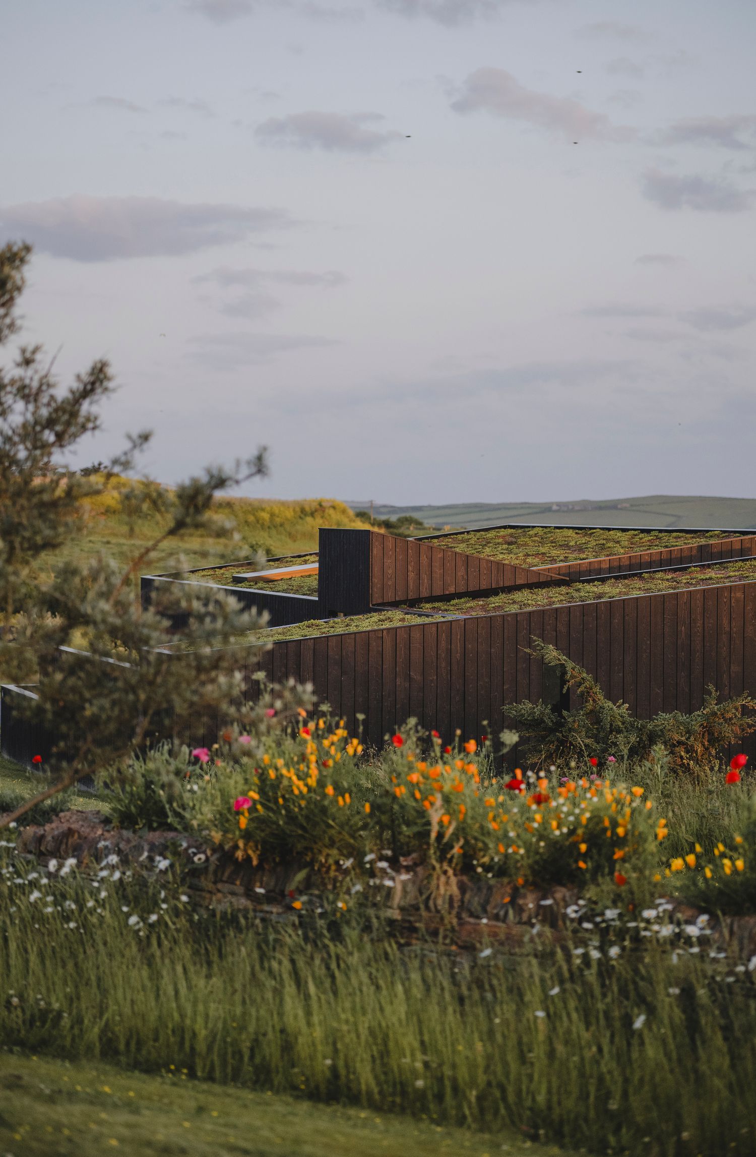 Garden Landscape Photography - Darren Hawkes Garden Design - Koto at the Point Polzeath