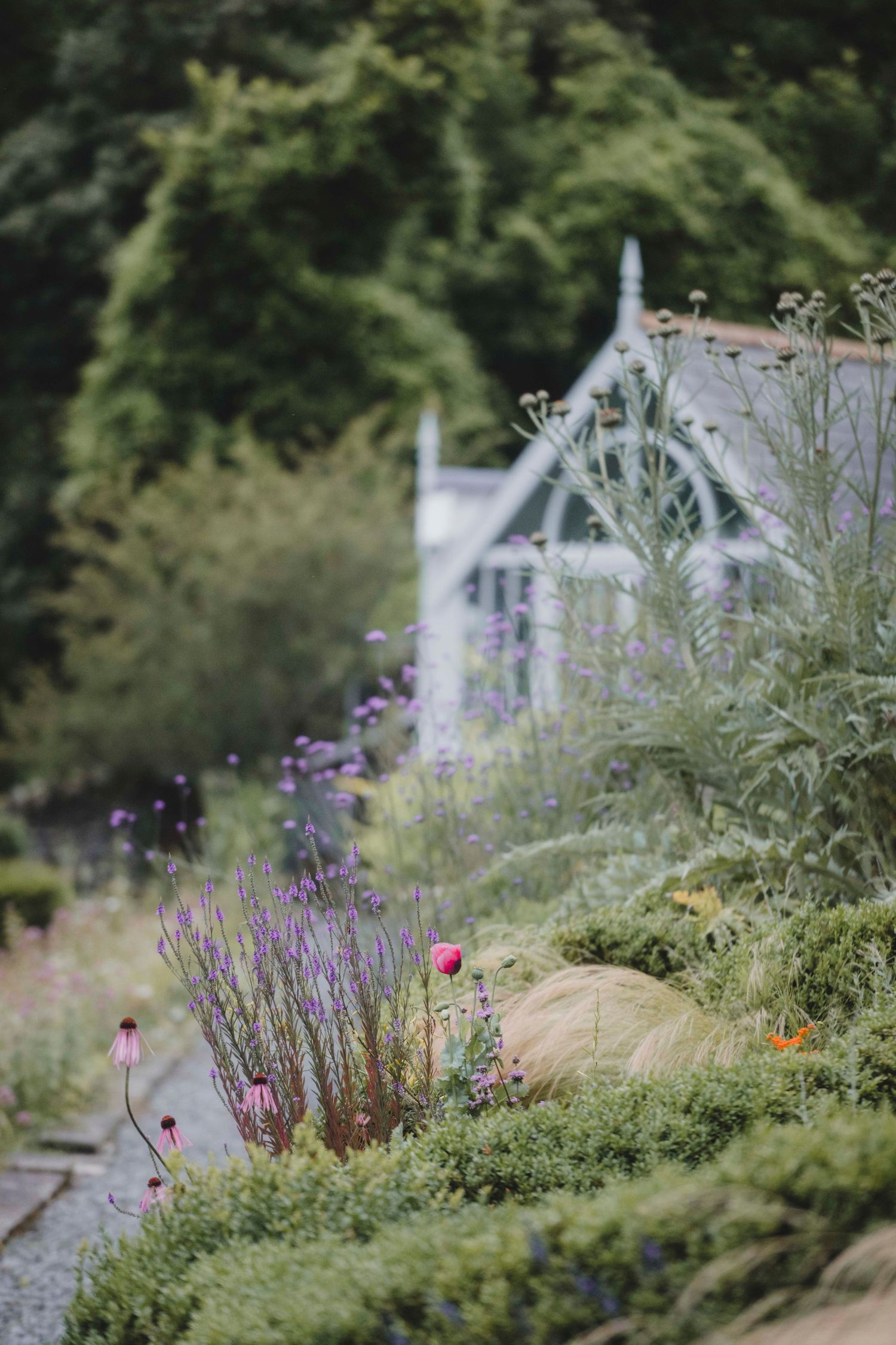 Garden Landscape Photography - Darren Hawkes Garden Design