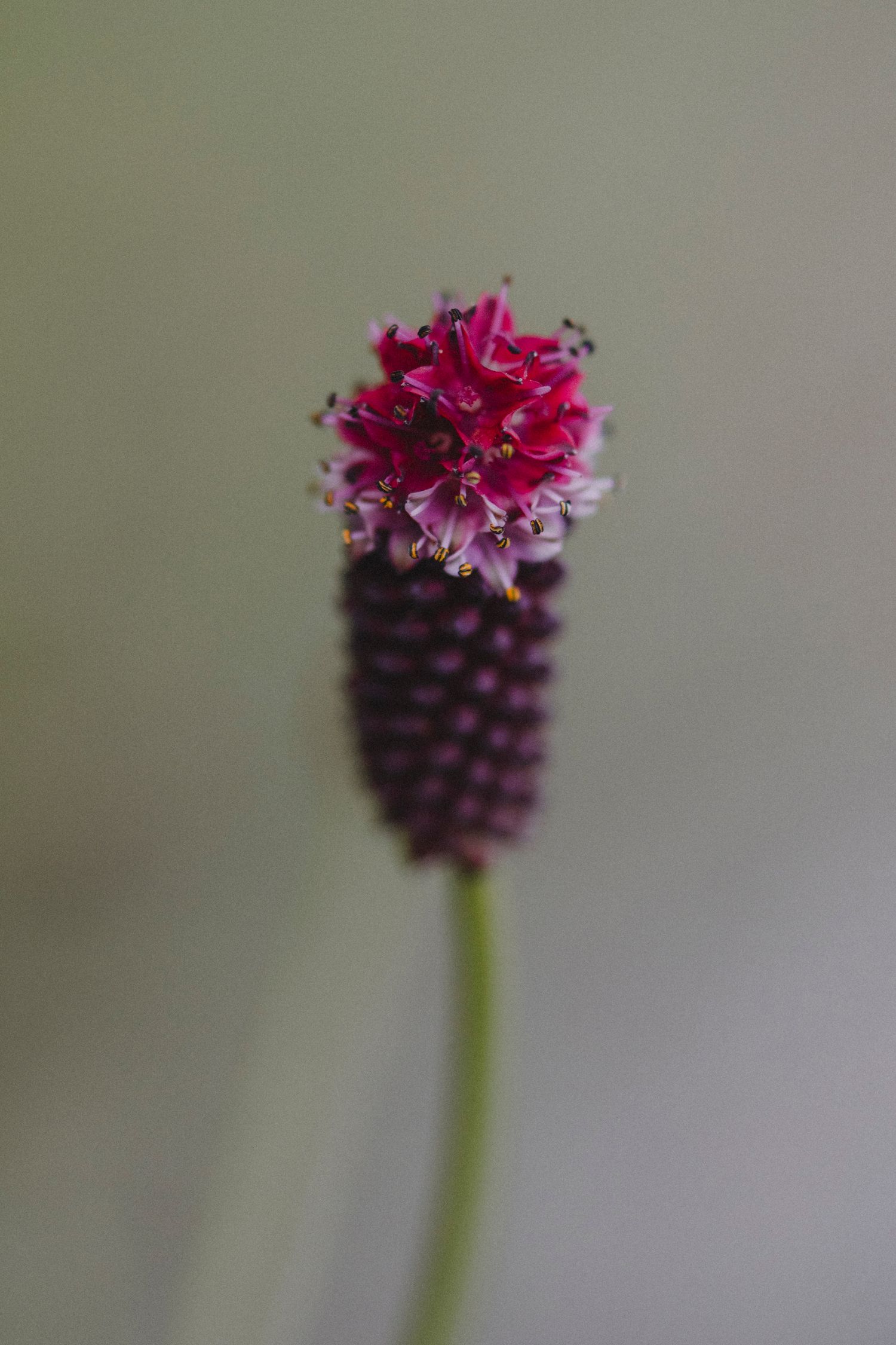 Garden Landscape Photography - Darren Hawkes Garden Design
