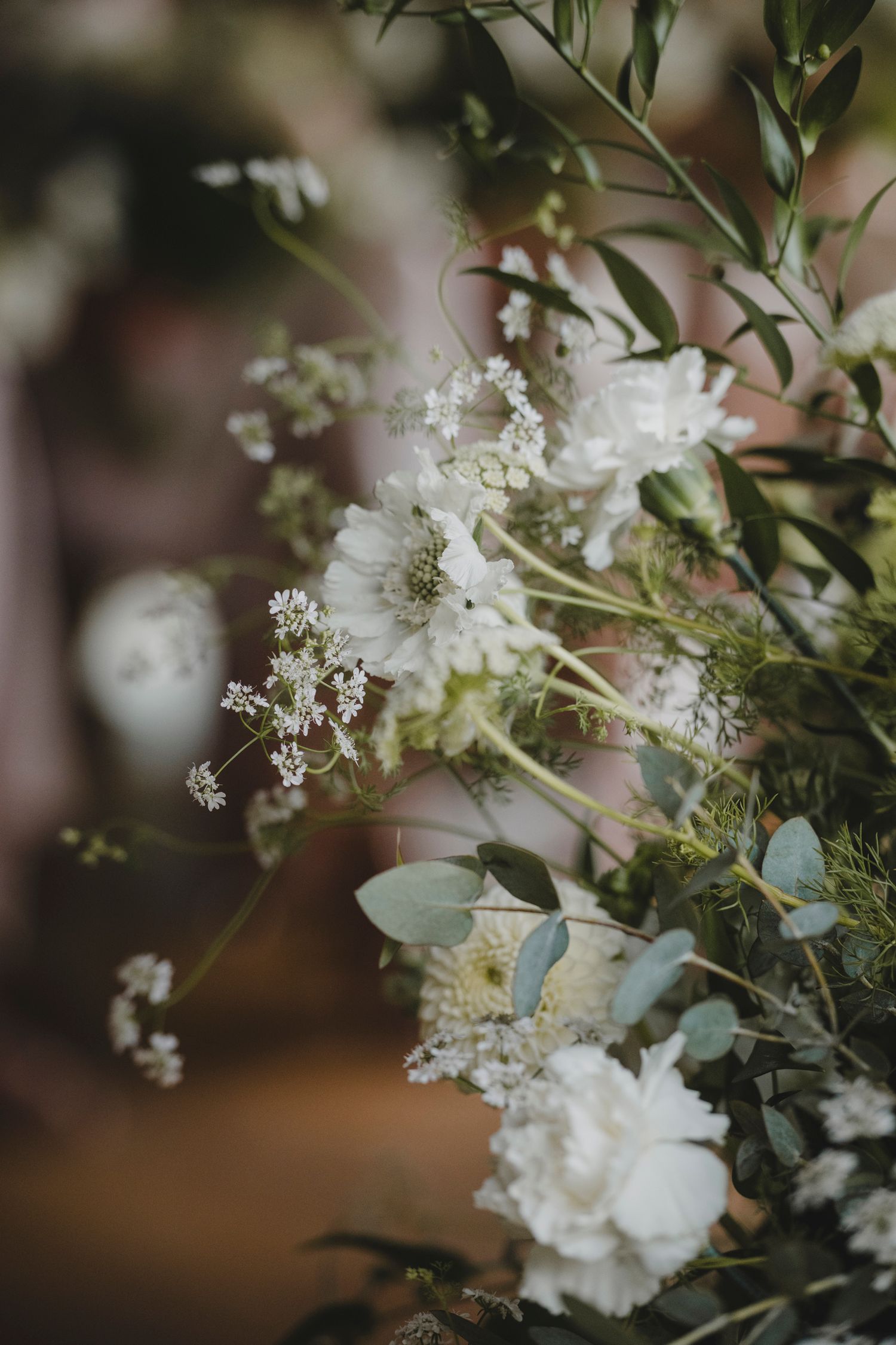 Botanical Photography - Beauty in Plants - Nature Photography